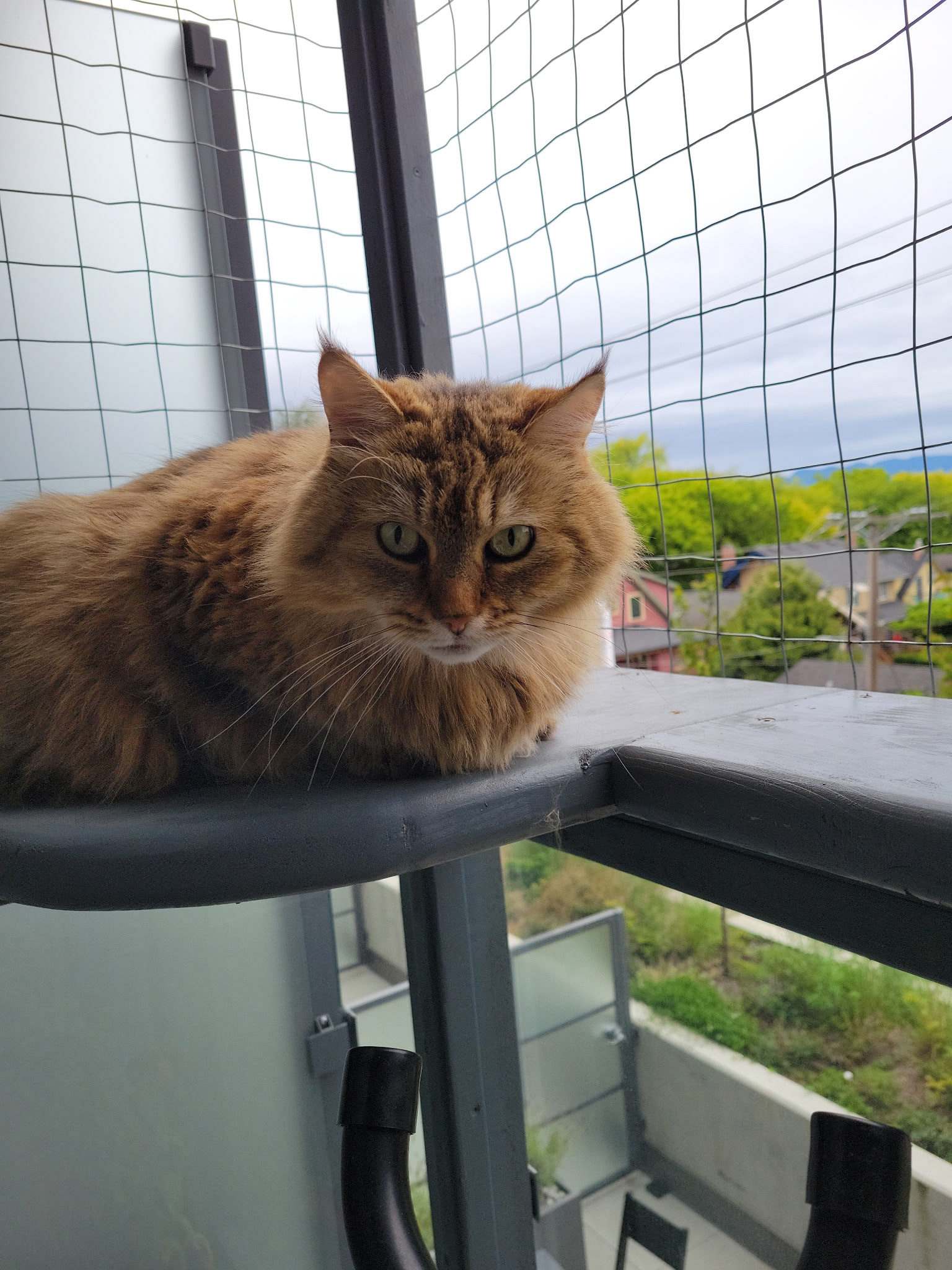 This is my spot now.