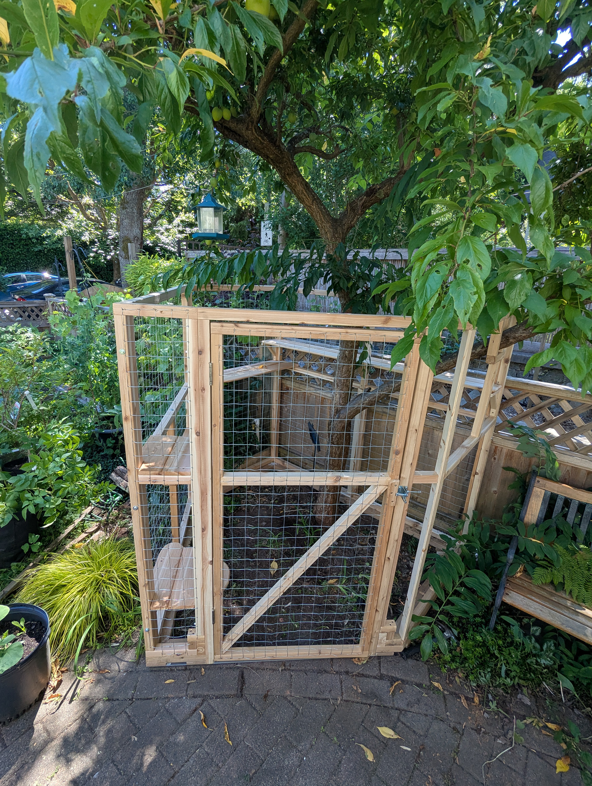 I made sure the catio fit in its space before building the roof around the tree.