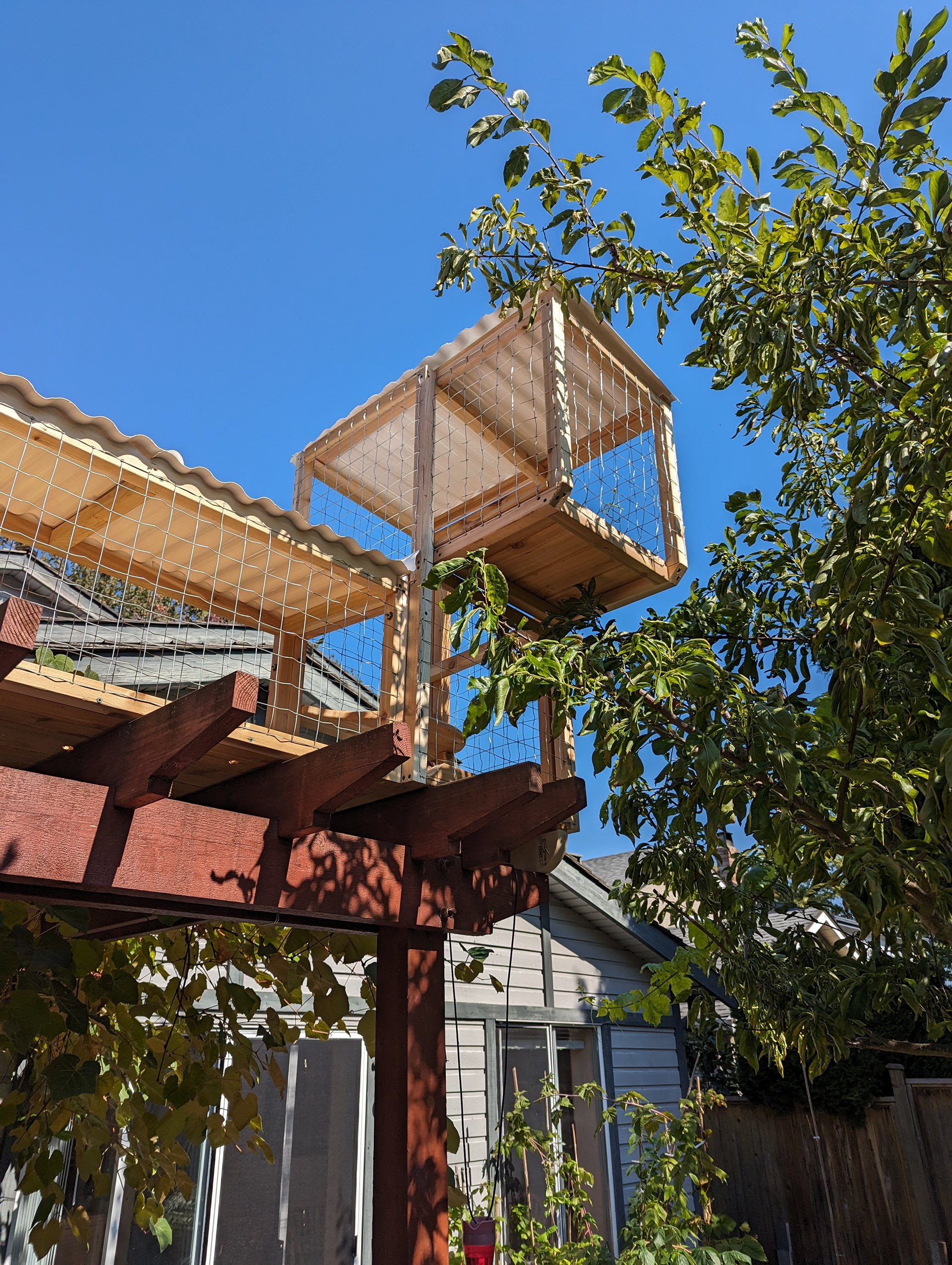 Next stop: treetop.