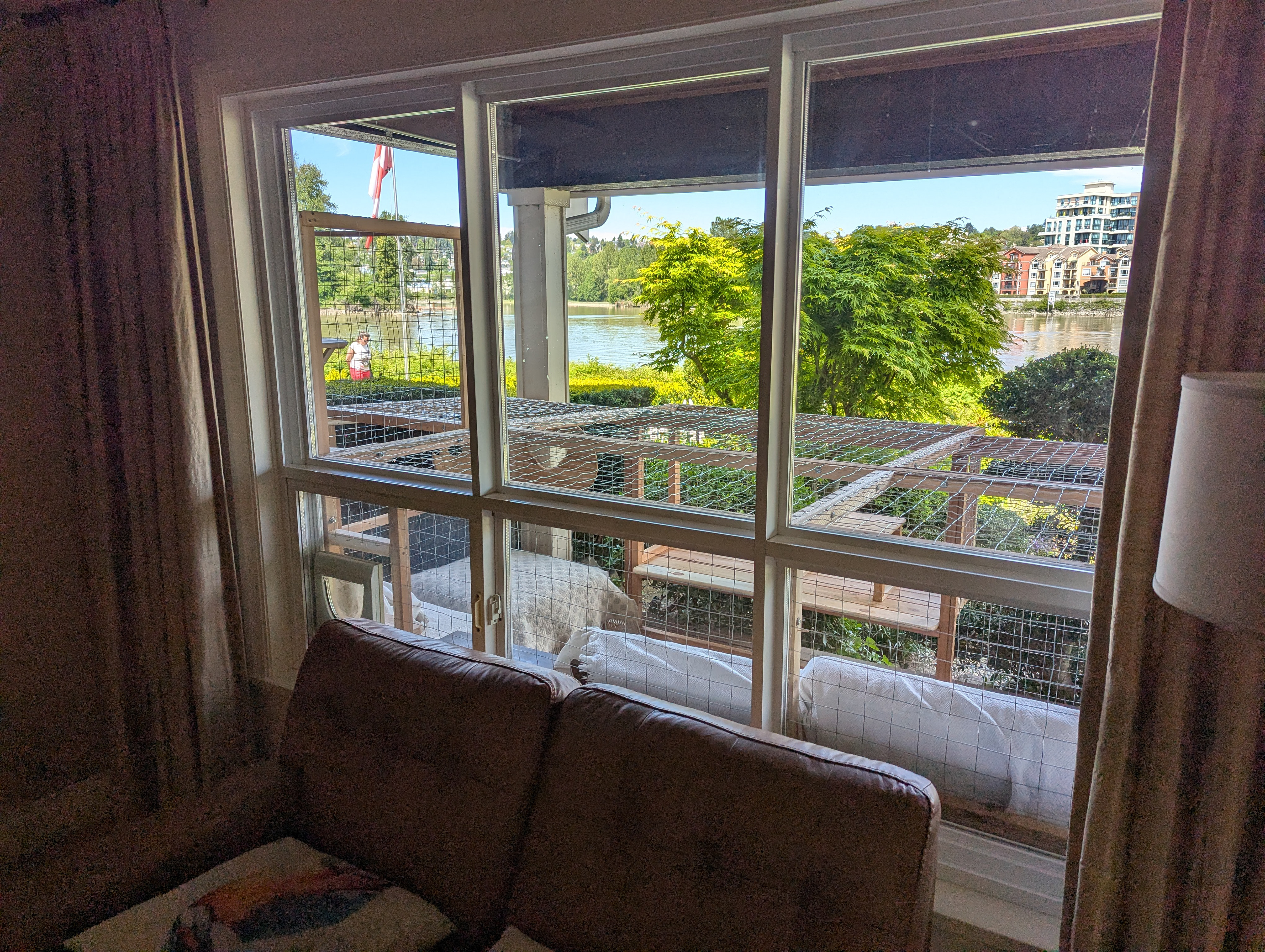 Their view is preserved by the low roof of the catio..