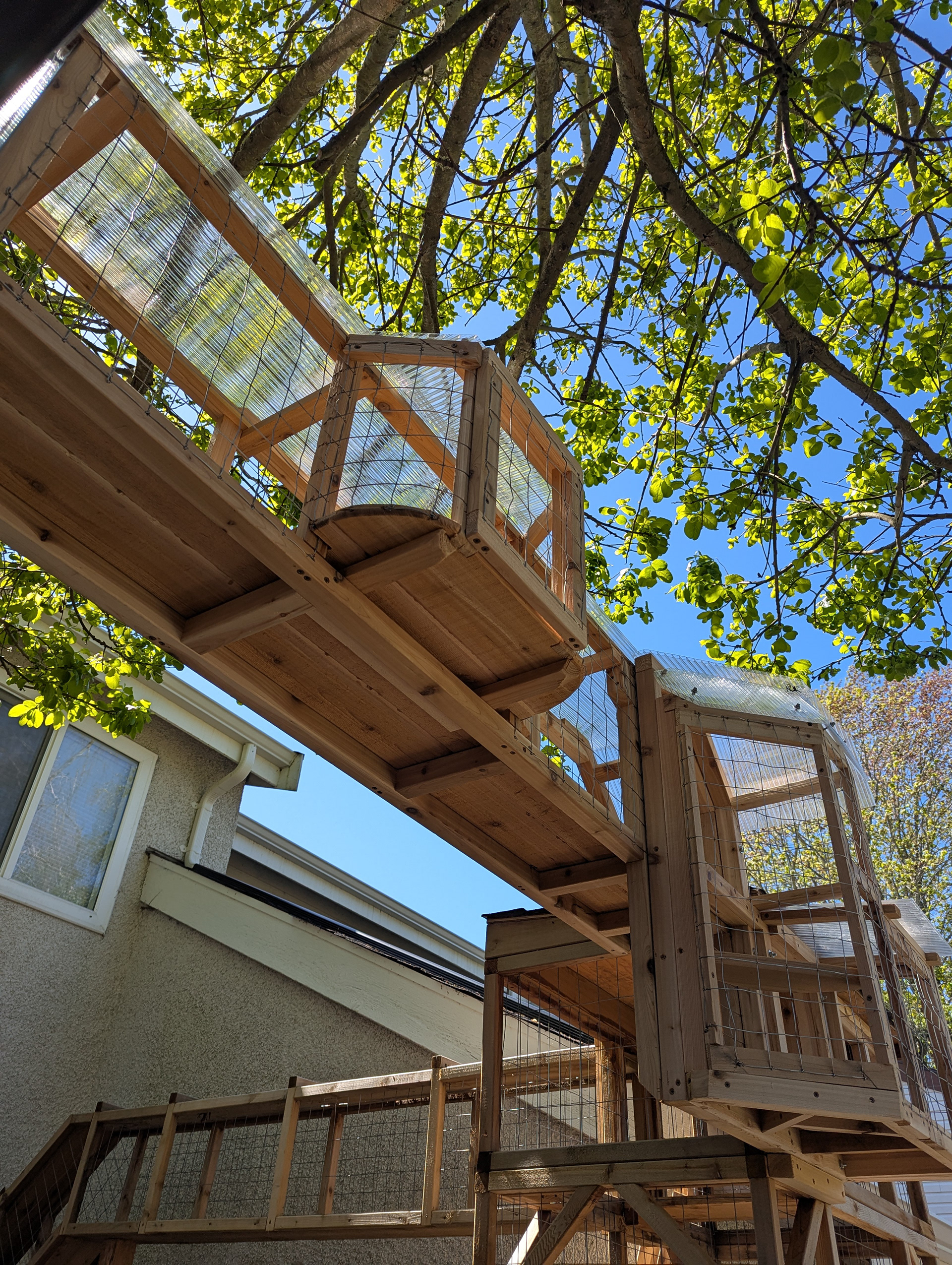 Bridge over to above the monkey bars.