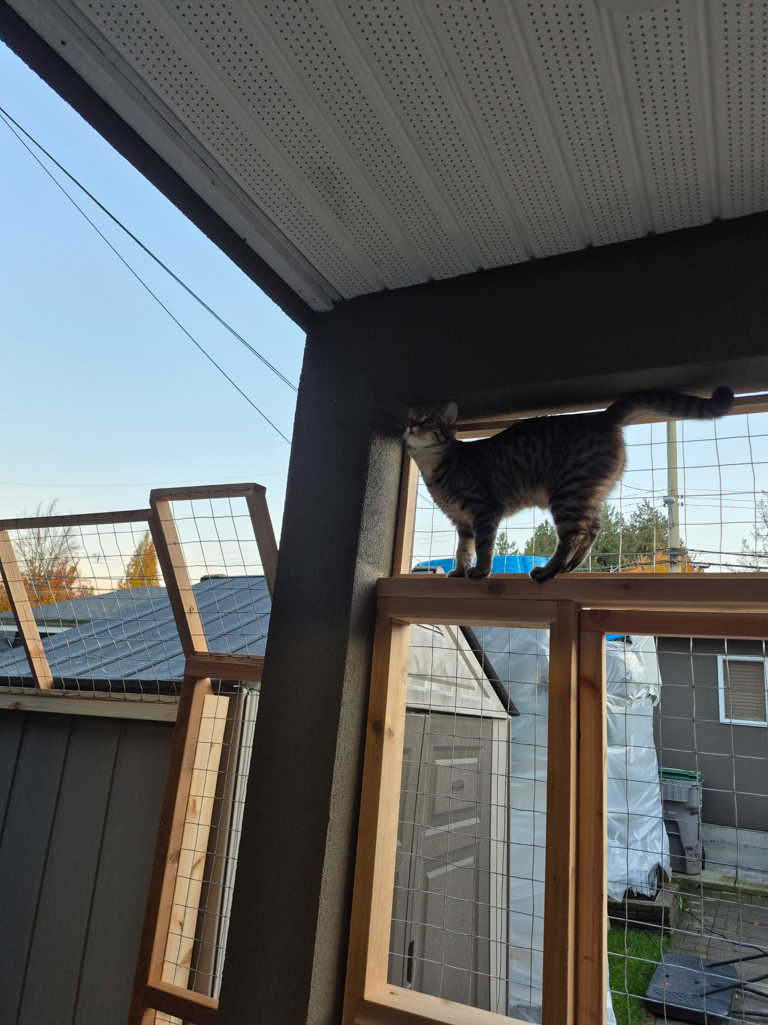 Where are you going to go, Pippa? 