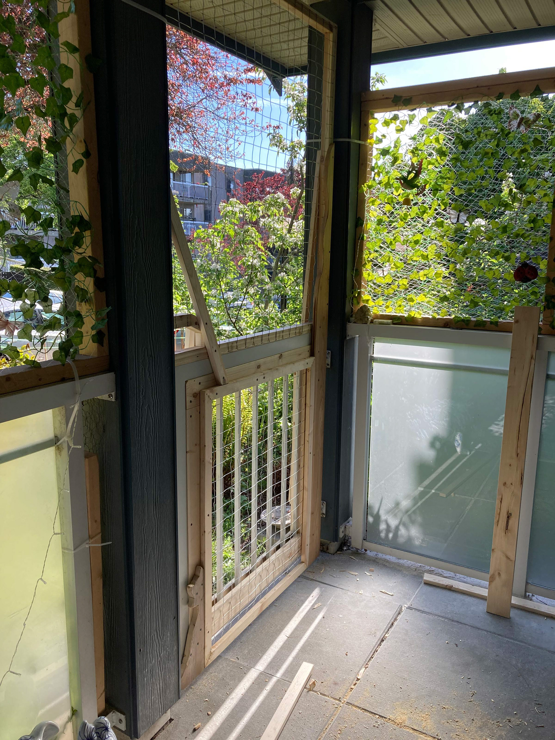 The humans had done a great job closing in their catio, but they needed a bit of help finding a way to make the gate safe as well.