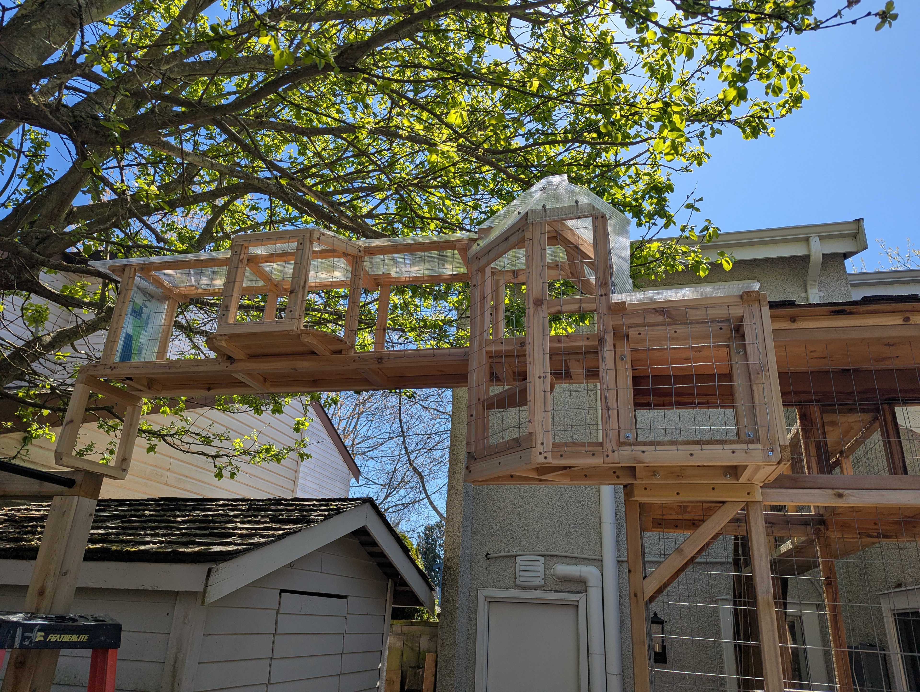 The addition emerges from the original catio...