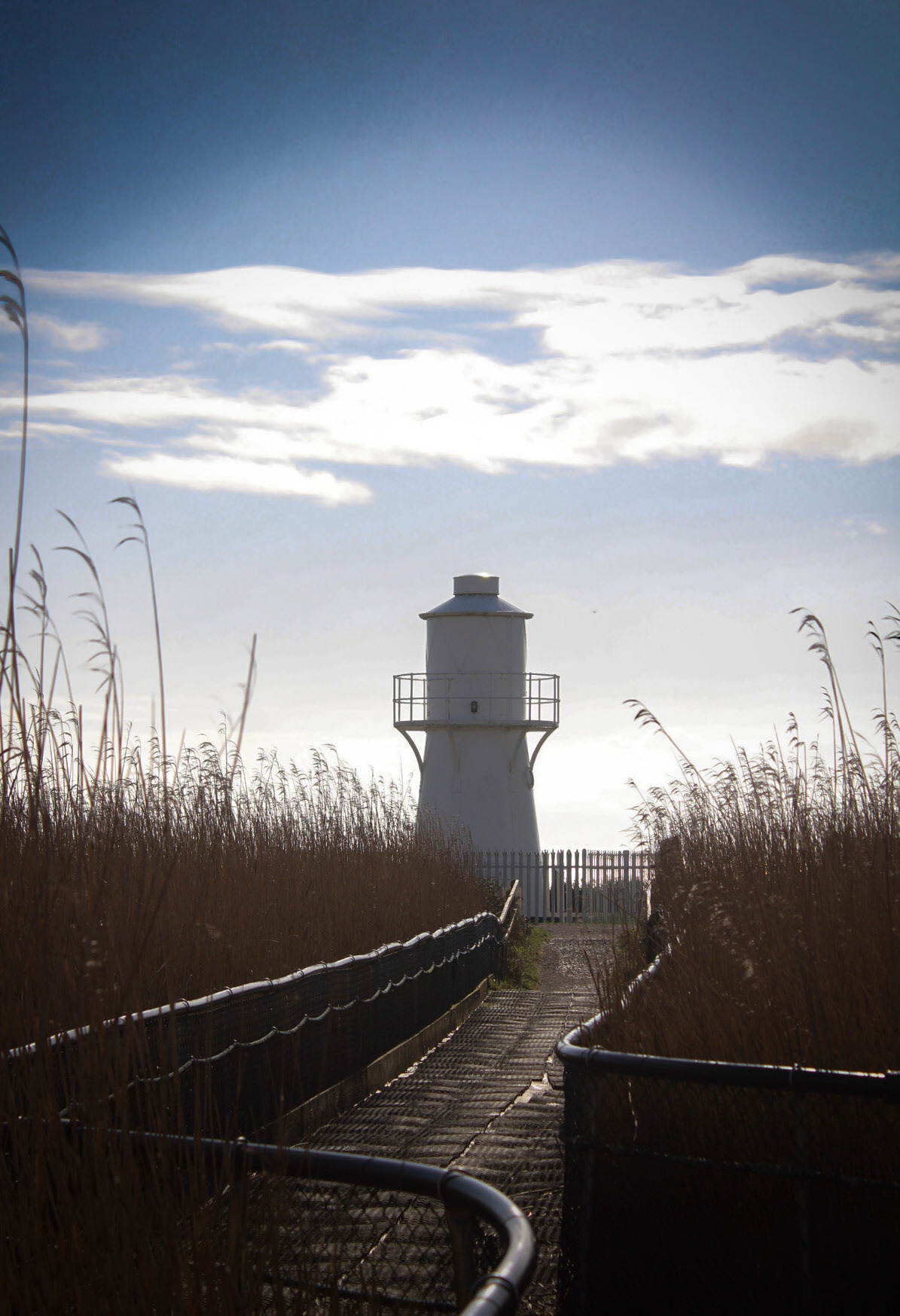 Newport Wetlands Looking at East Usk Lighthouse