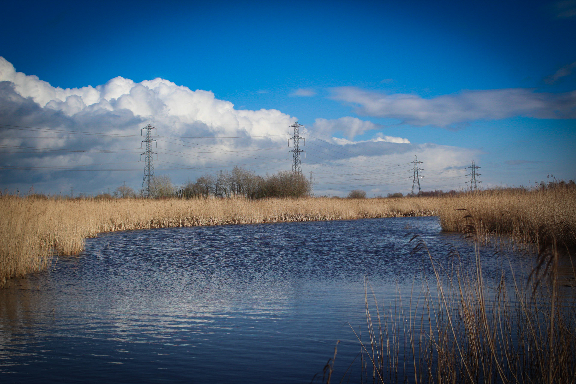 Newport Wetlands