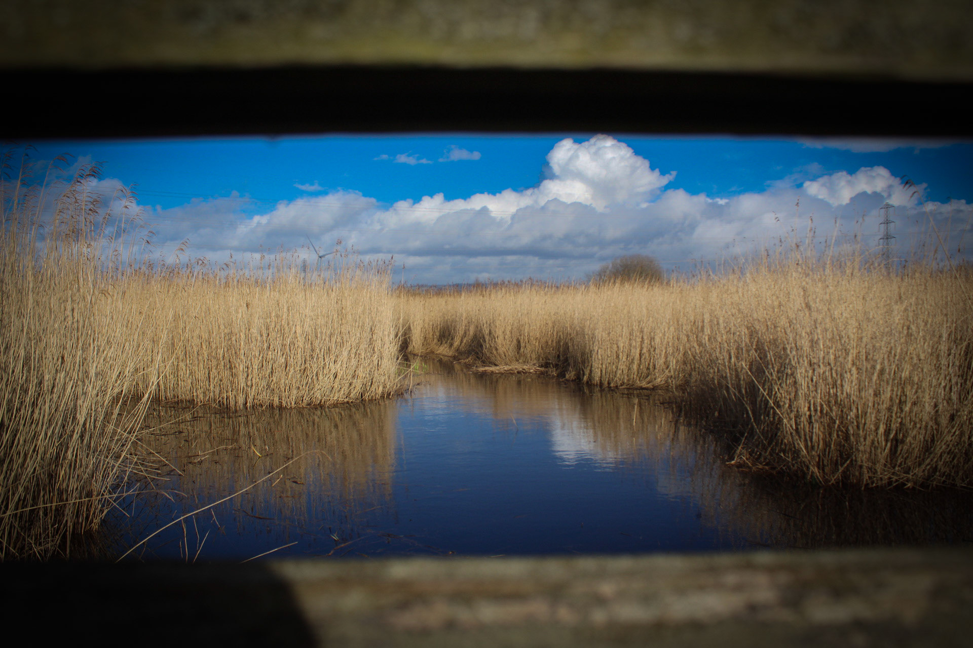 Newport Wetlands