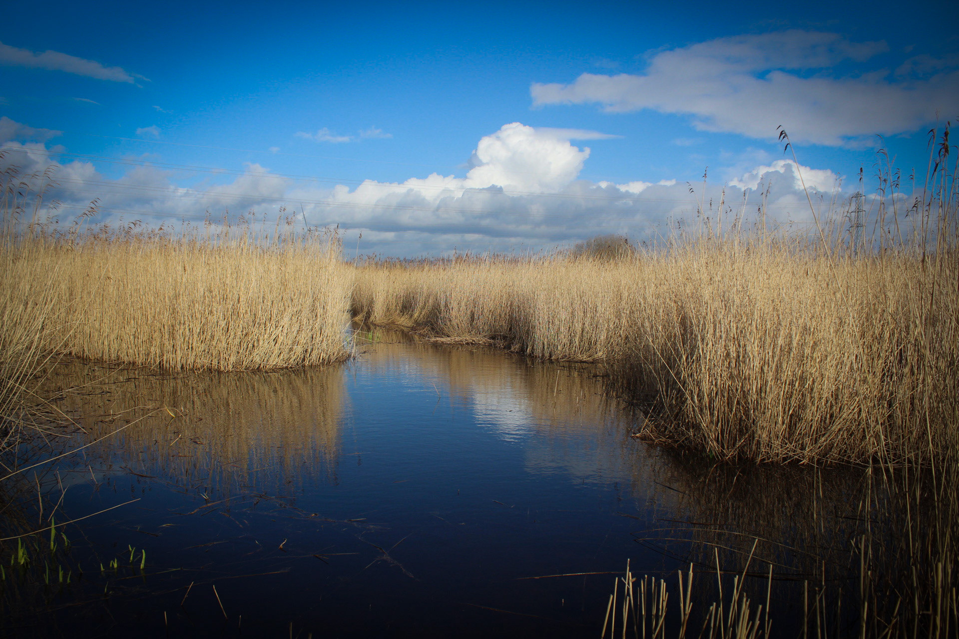 Newport Wetlands
