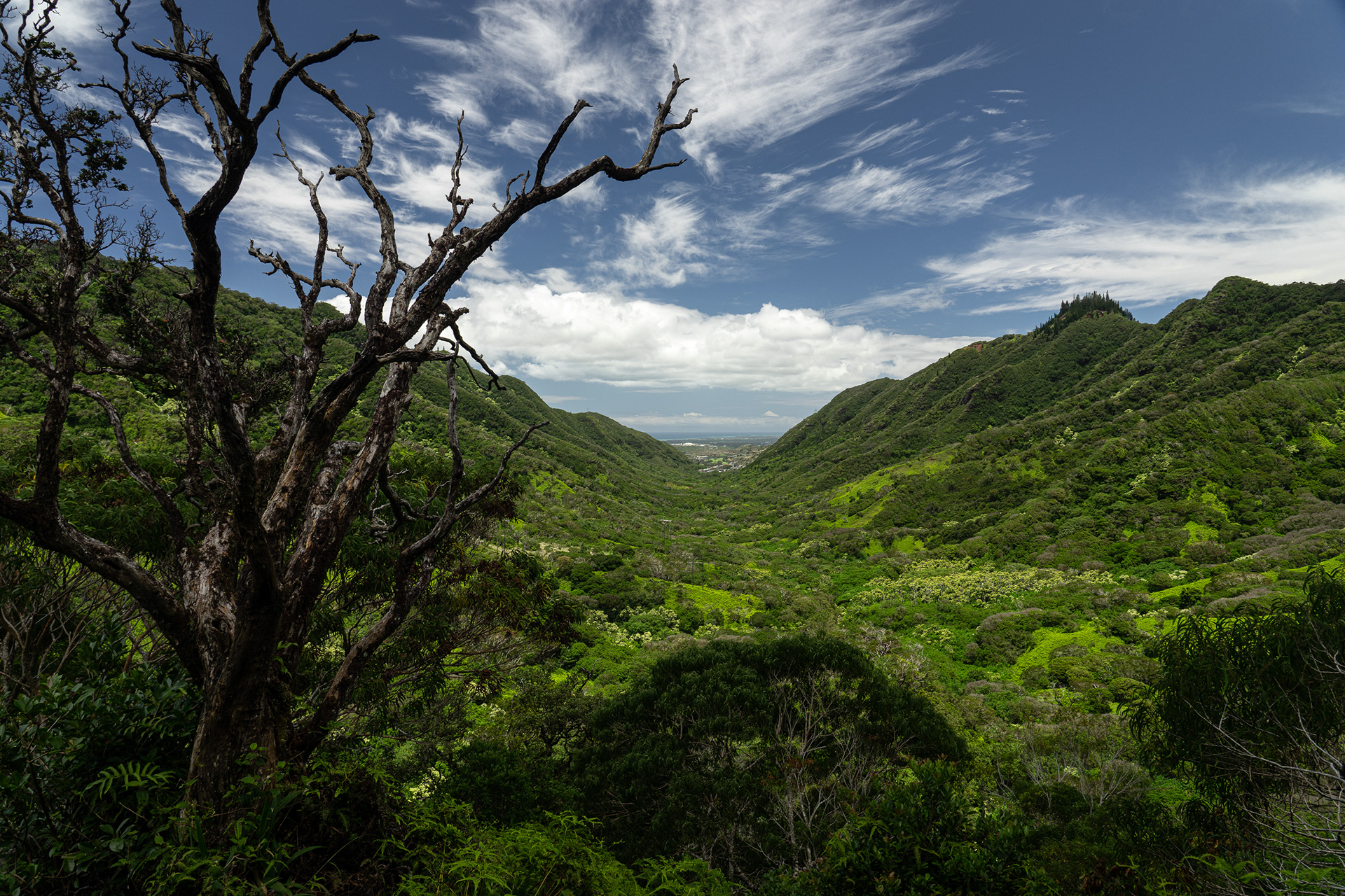 Kamananui Valley