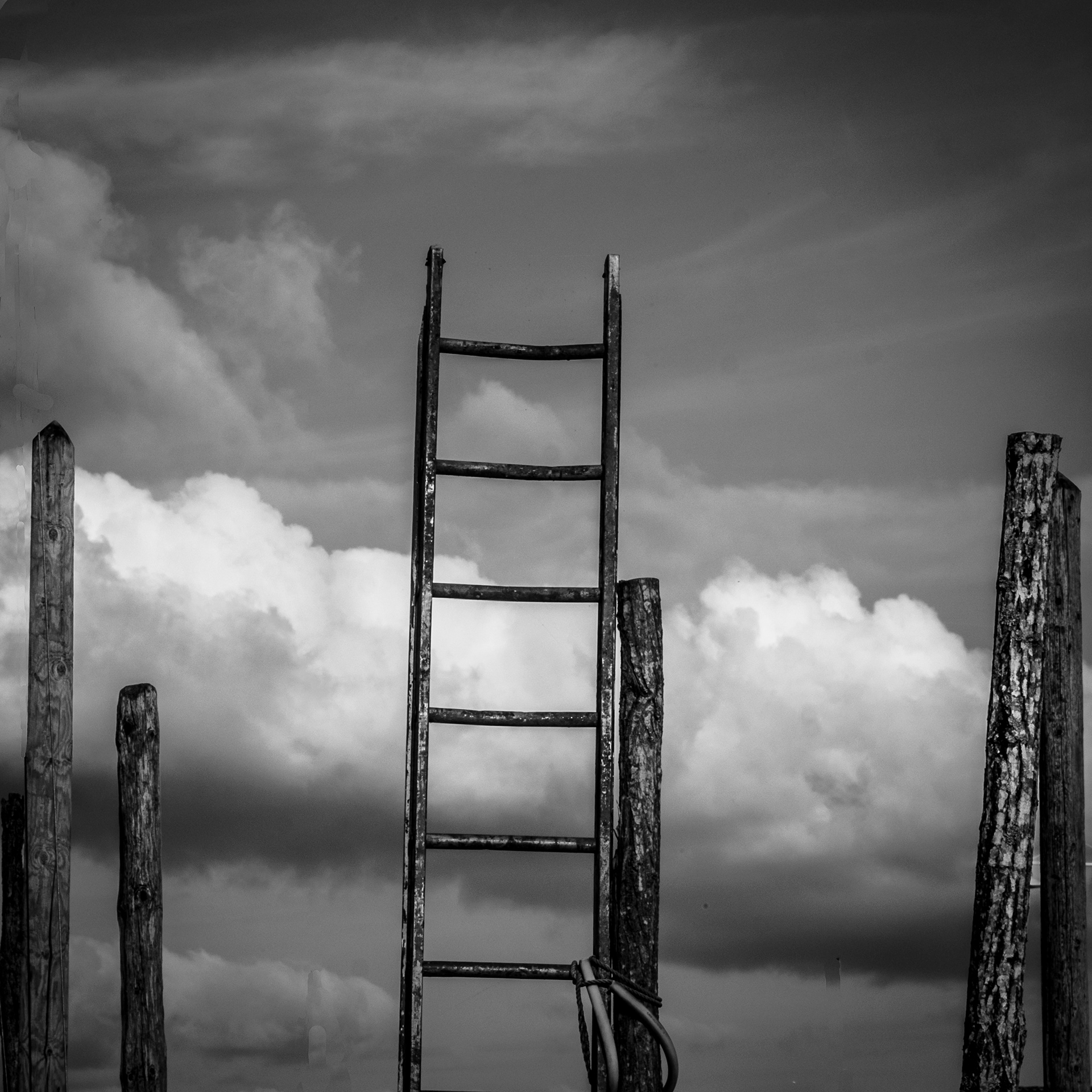 Arcachon 29 Aout 2016