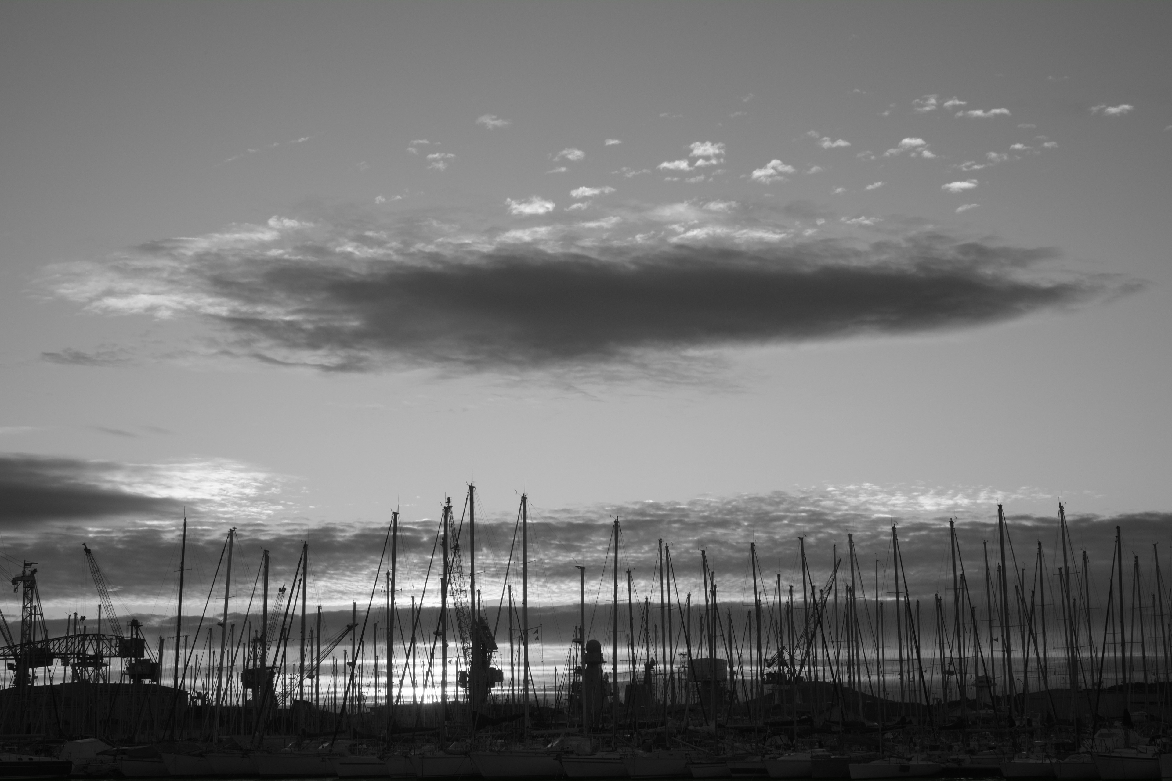 Toulon 24 Janvier 2014