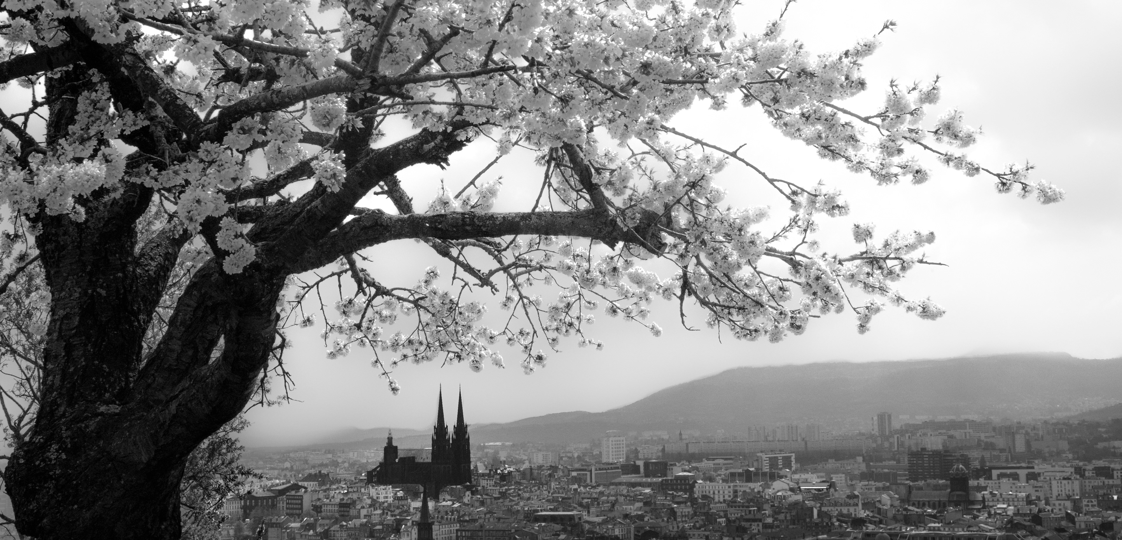 Clermont Ferrand 7 Avril 2017