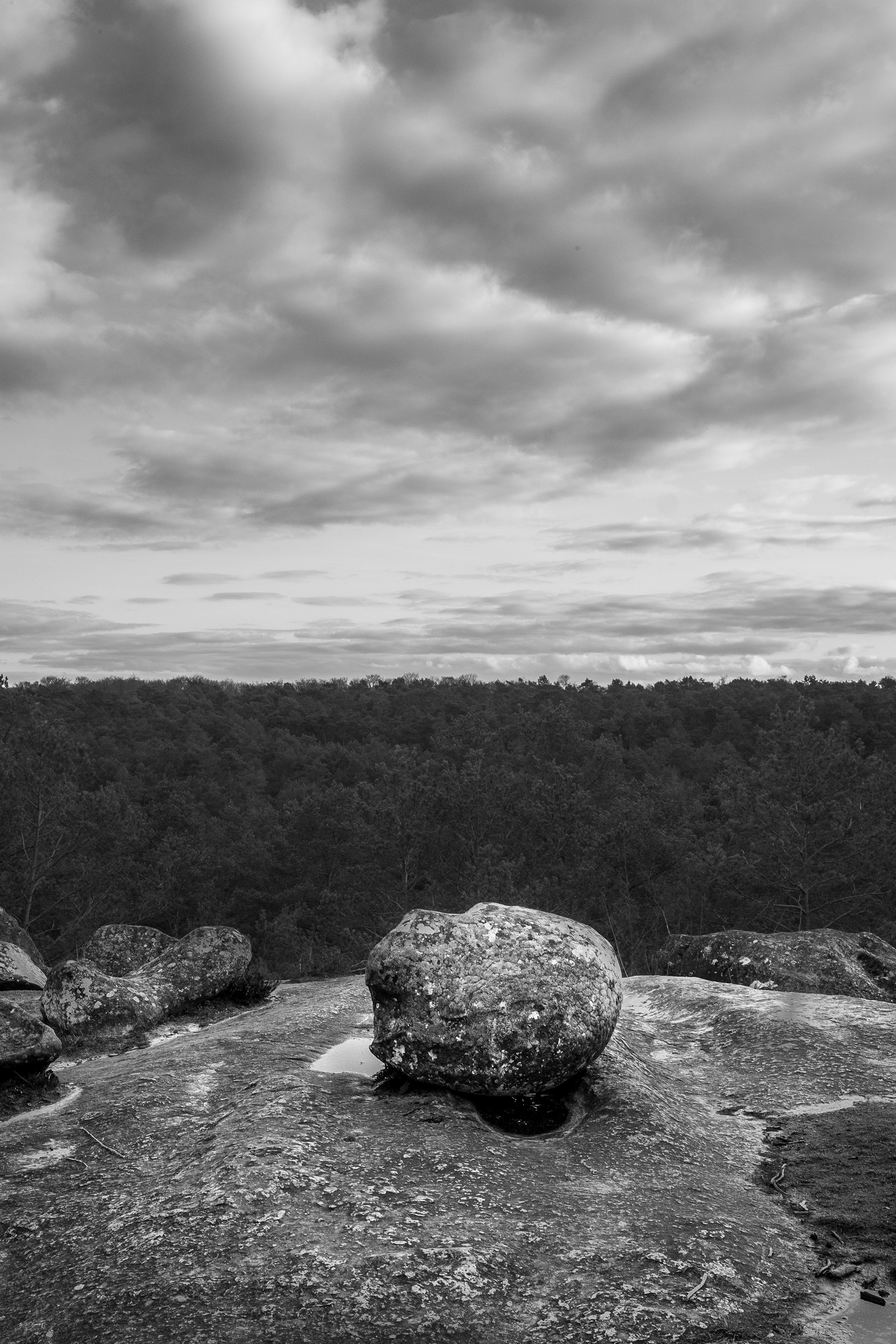 Fontainebleau 5 Avril 2021