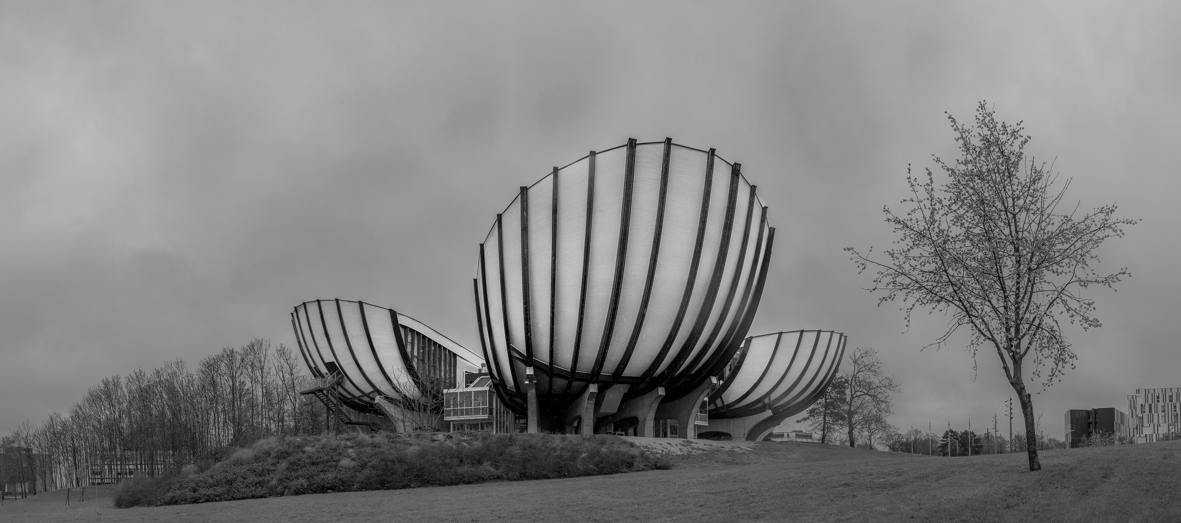Reims 9 Avril 2022