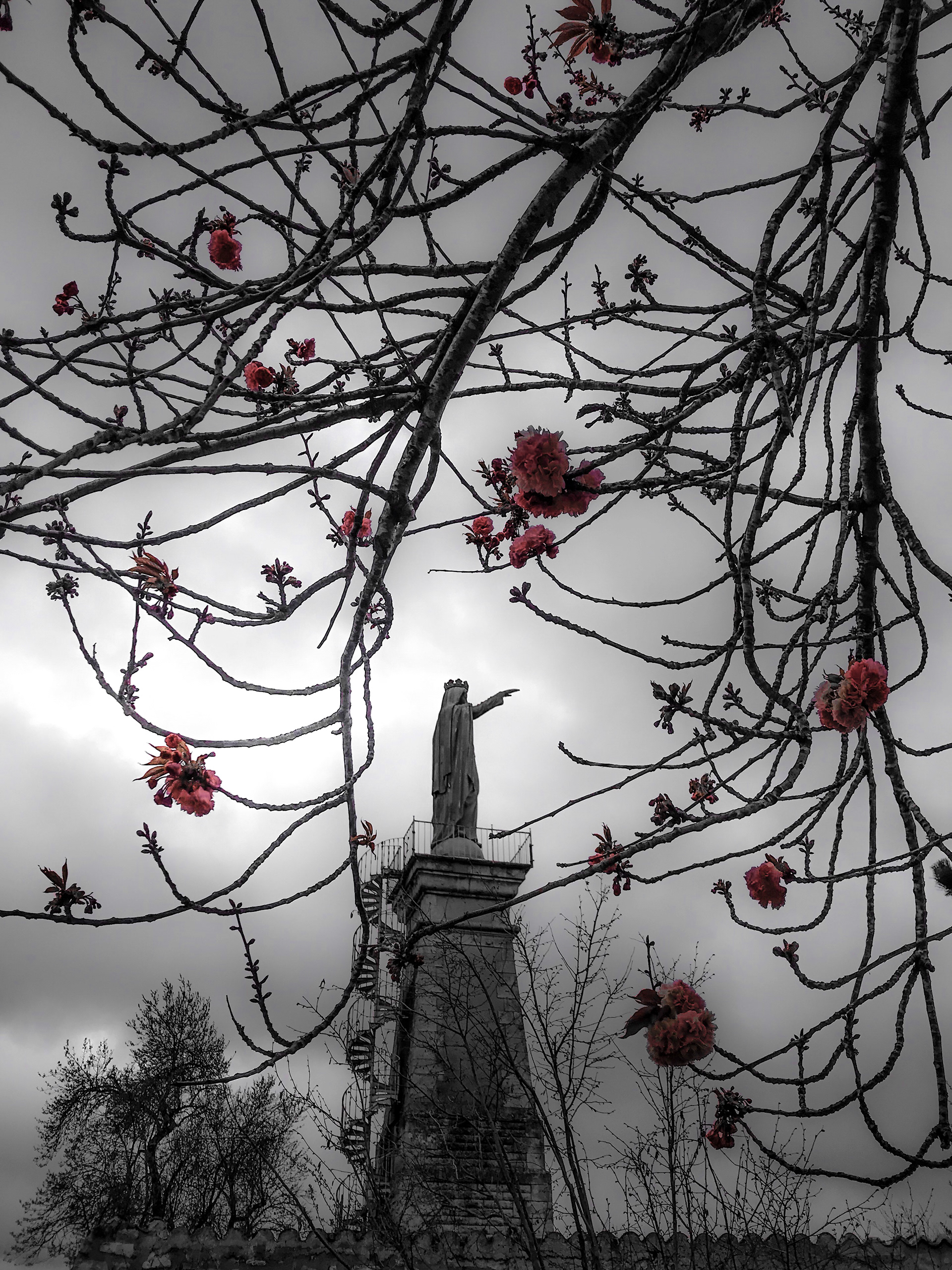 Poitiers 19 Mars 2019