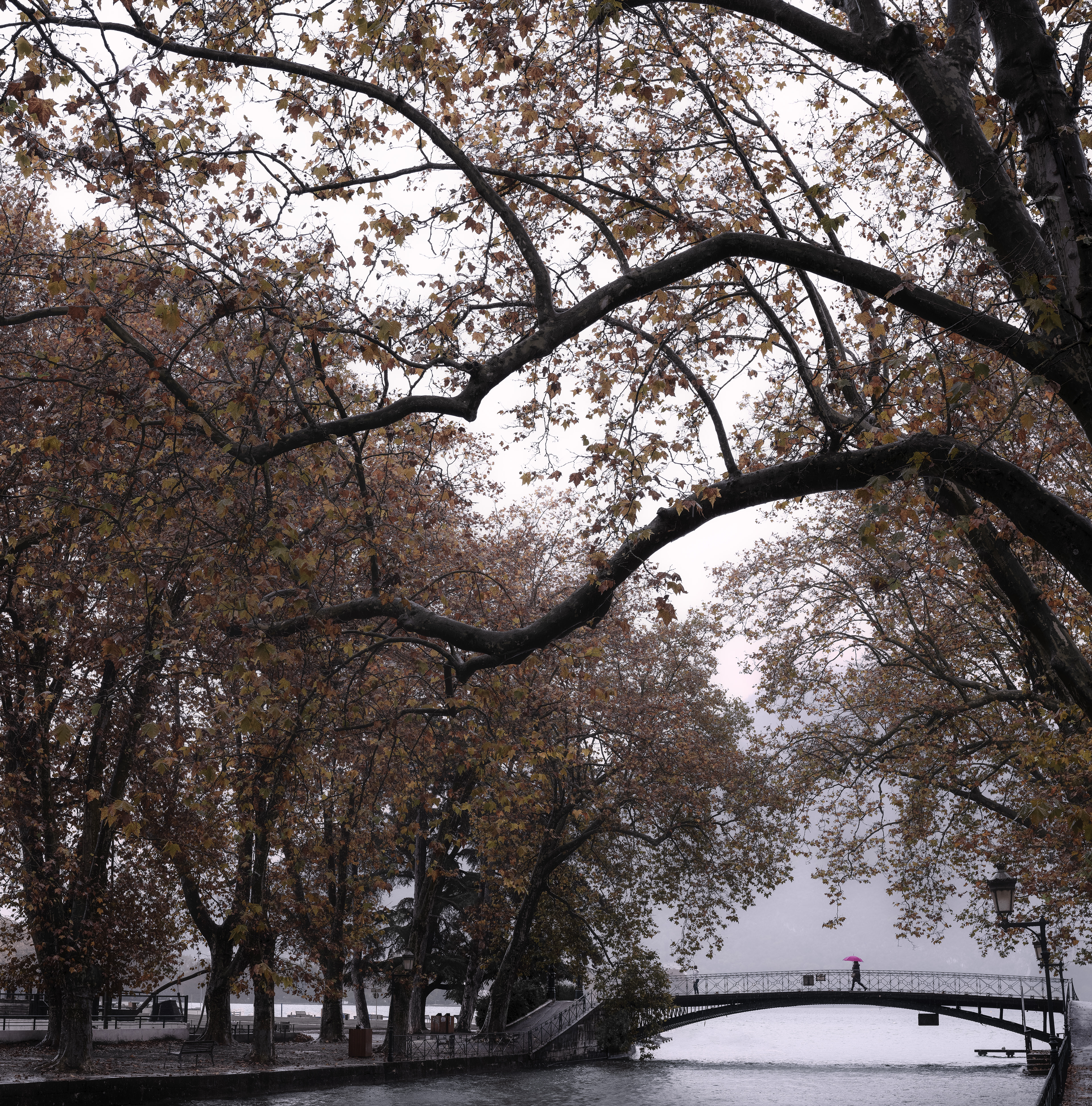 Annecy 8 Novembre 2023