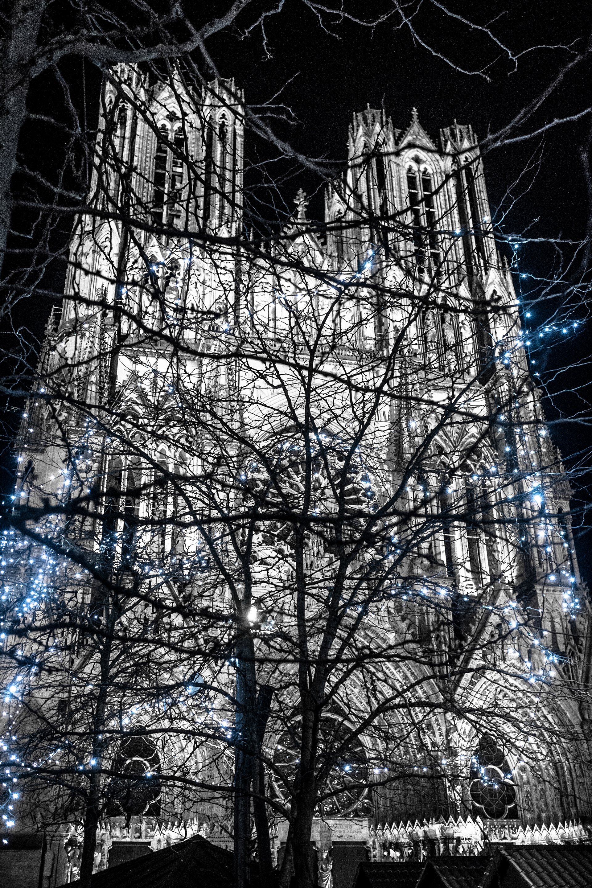 Reims 24 Novembre 2016