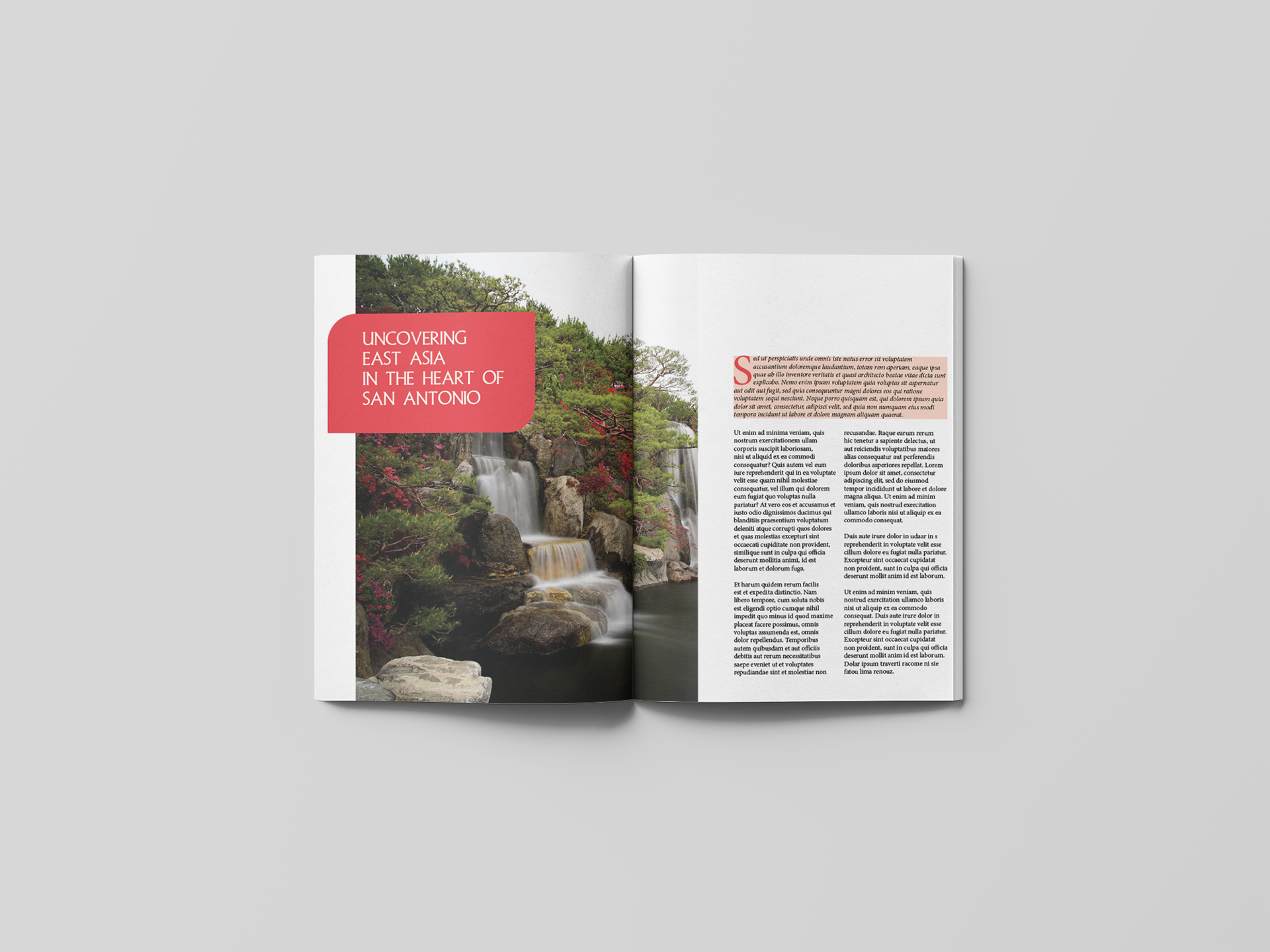 Magazine Layout