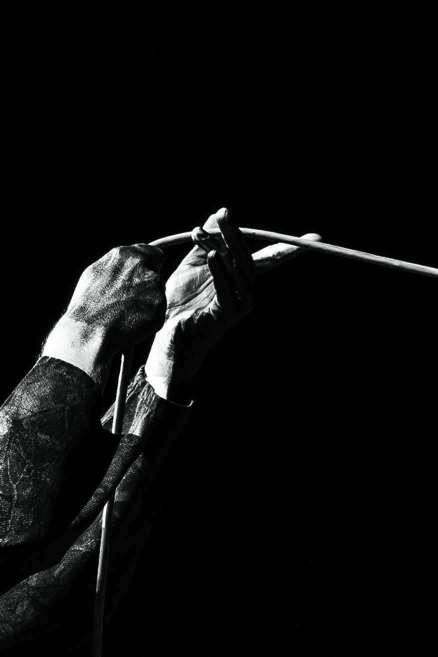 Twenty One Pilots at Hurricane Festival