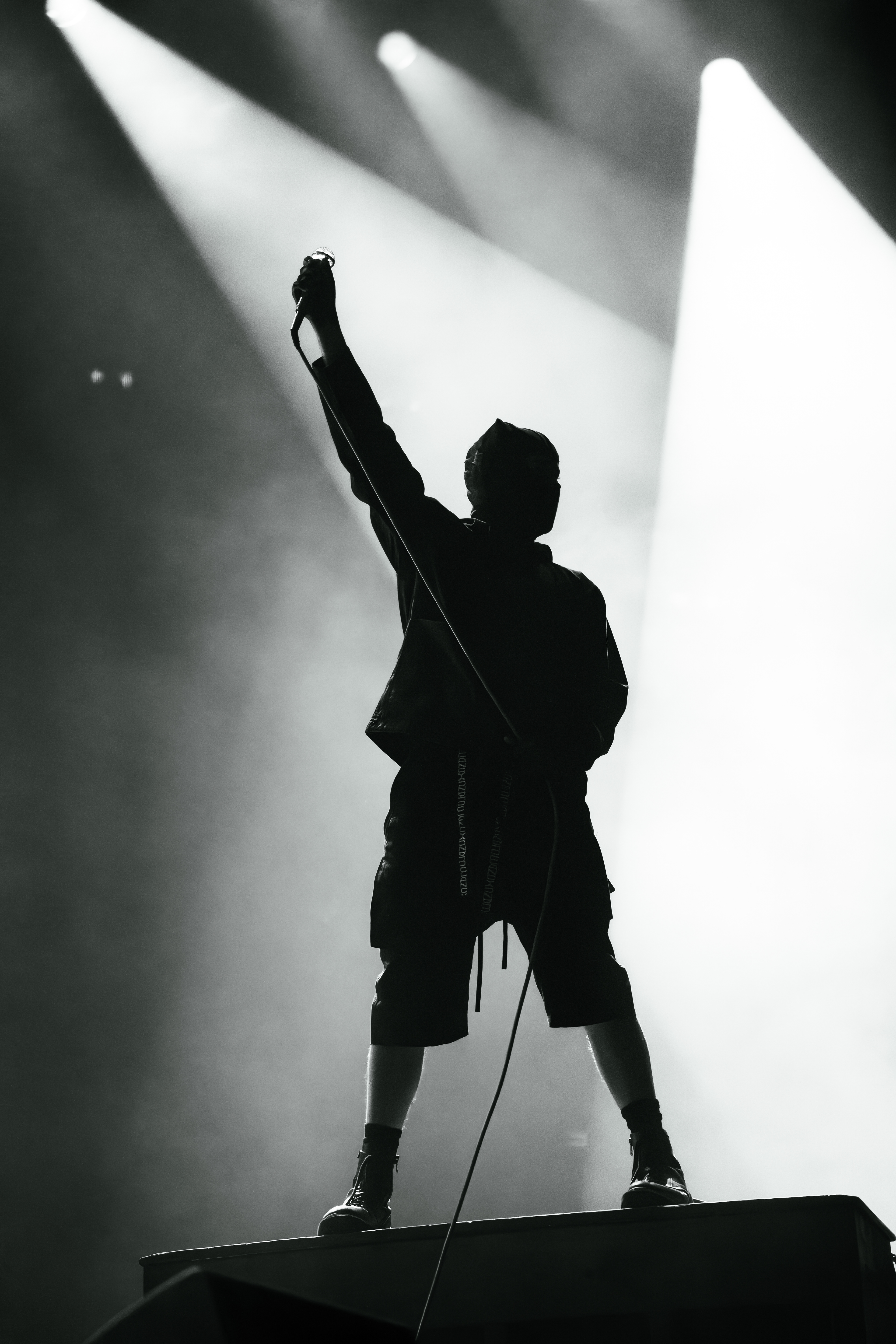 Twenty One Pilots at Hurricane Festival