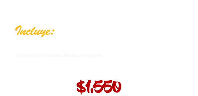 SESIÓN BASICA