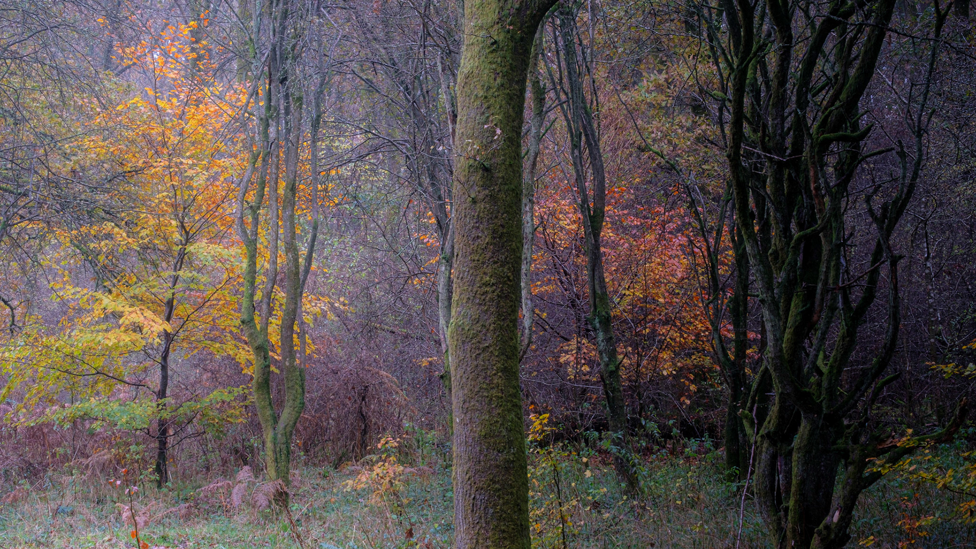 From Light to Darkness