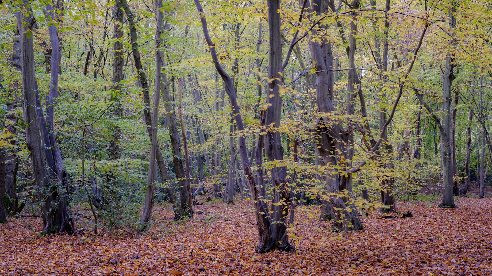 October