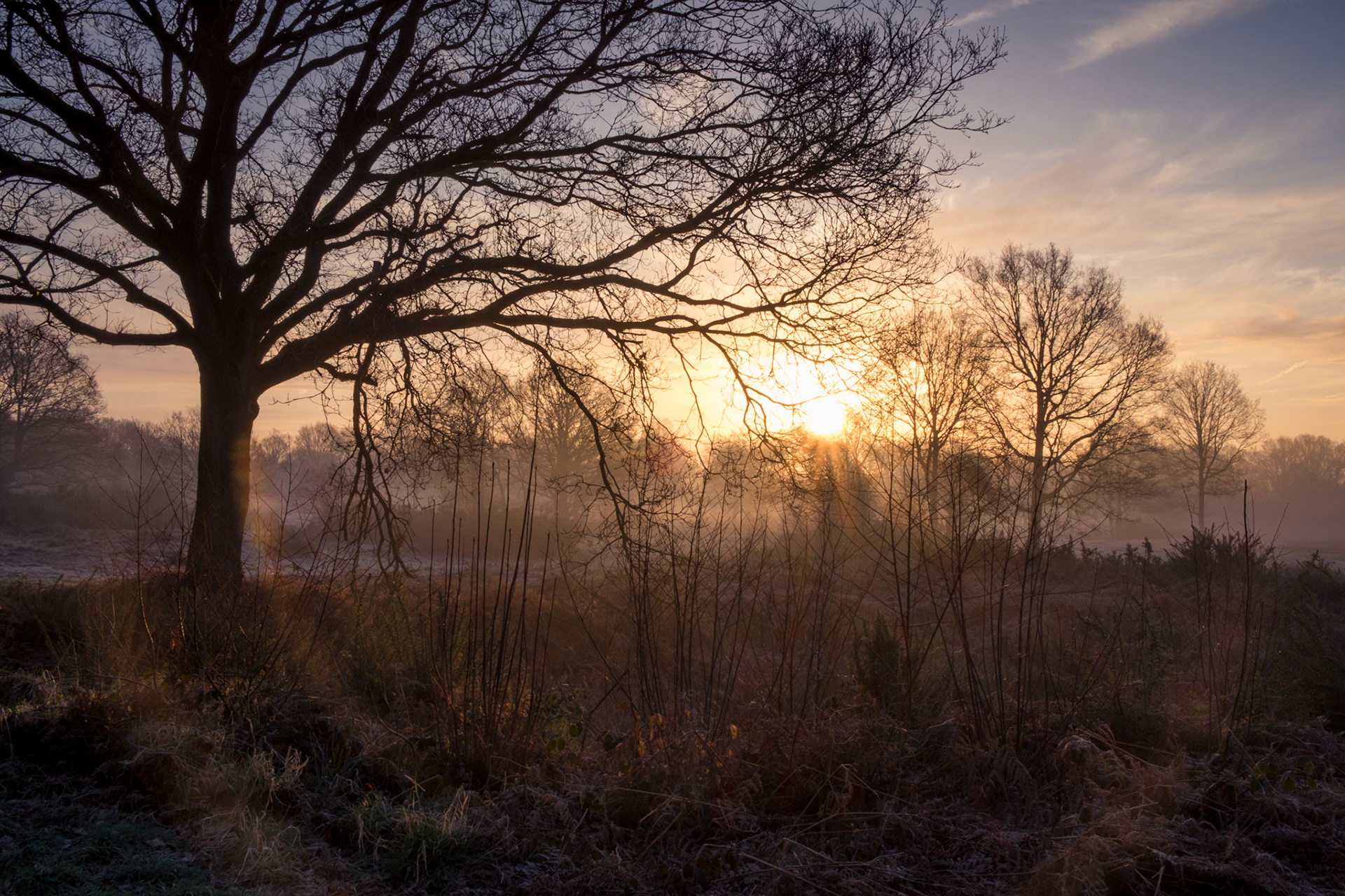 February Sunrise