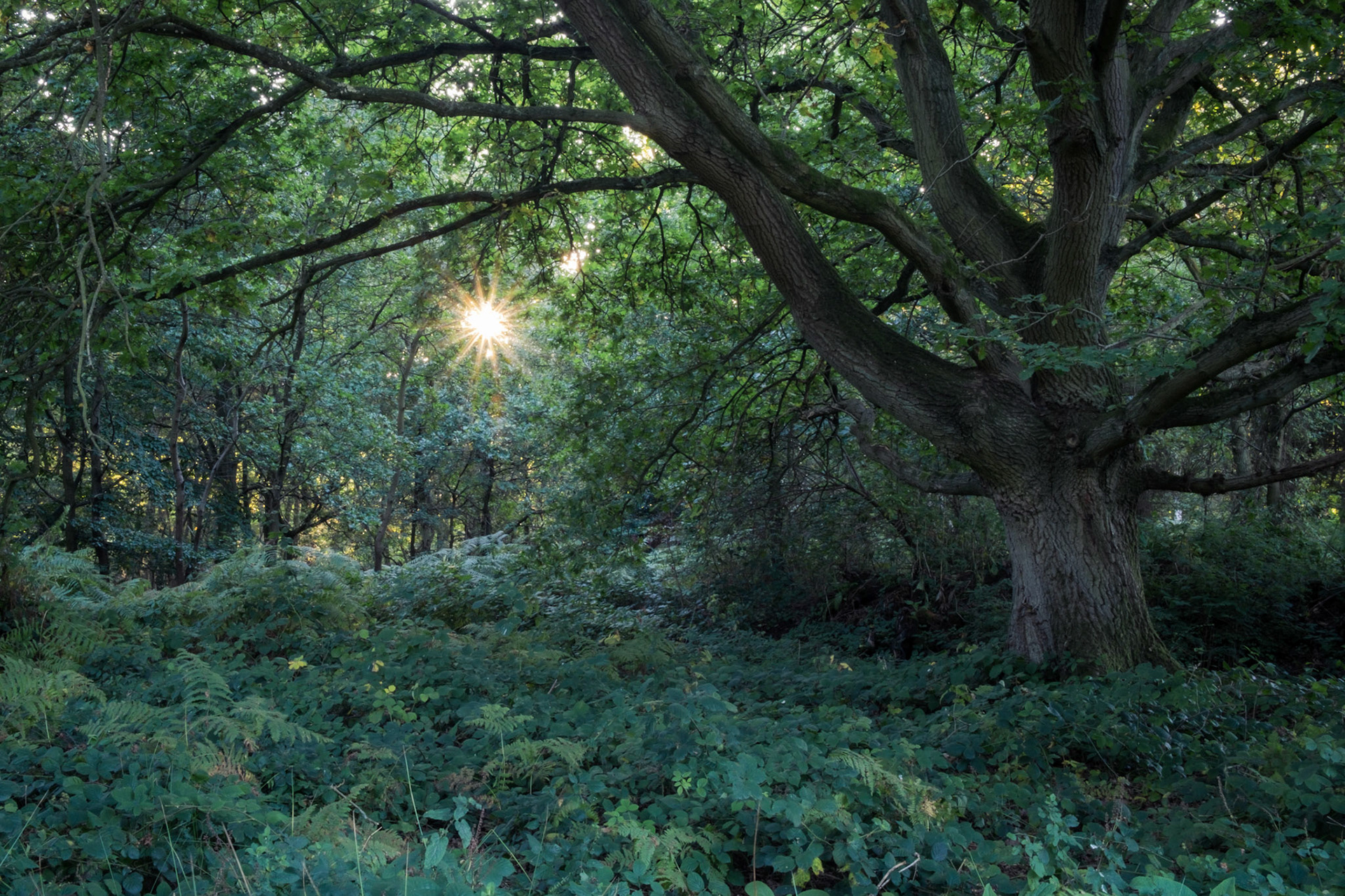 Autumn Equinox