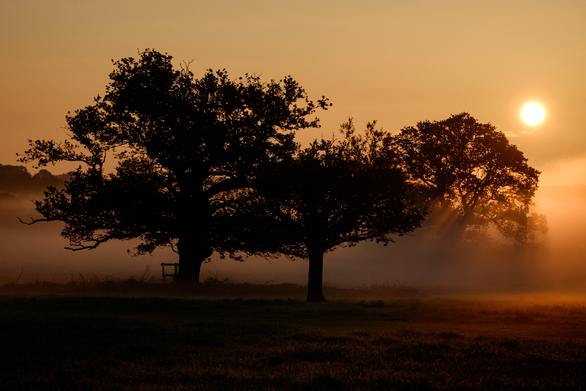 Morning has broken.