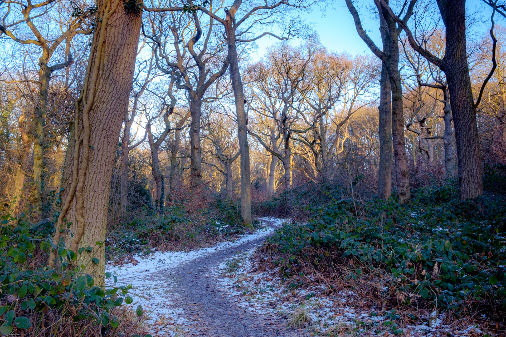 January