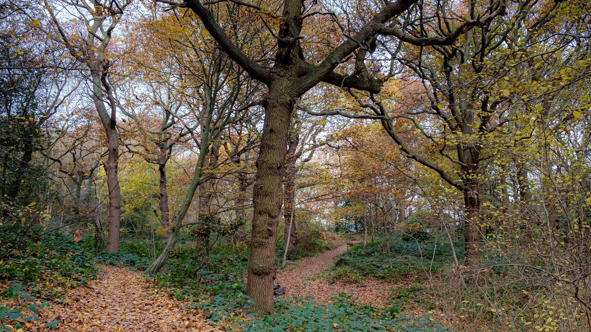 November