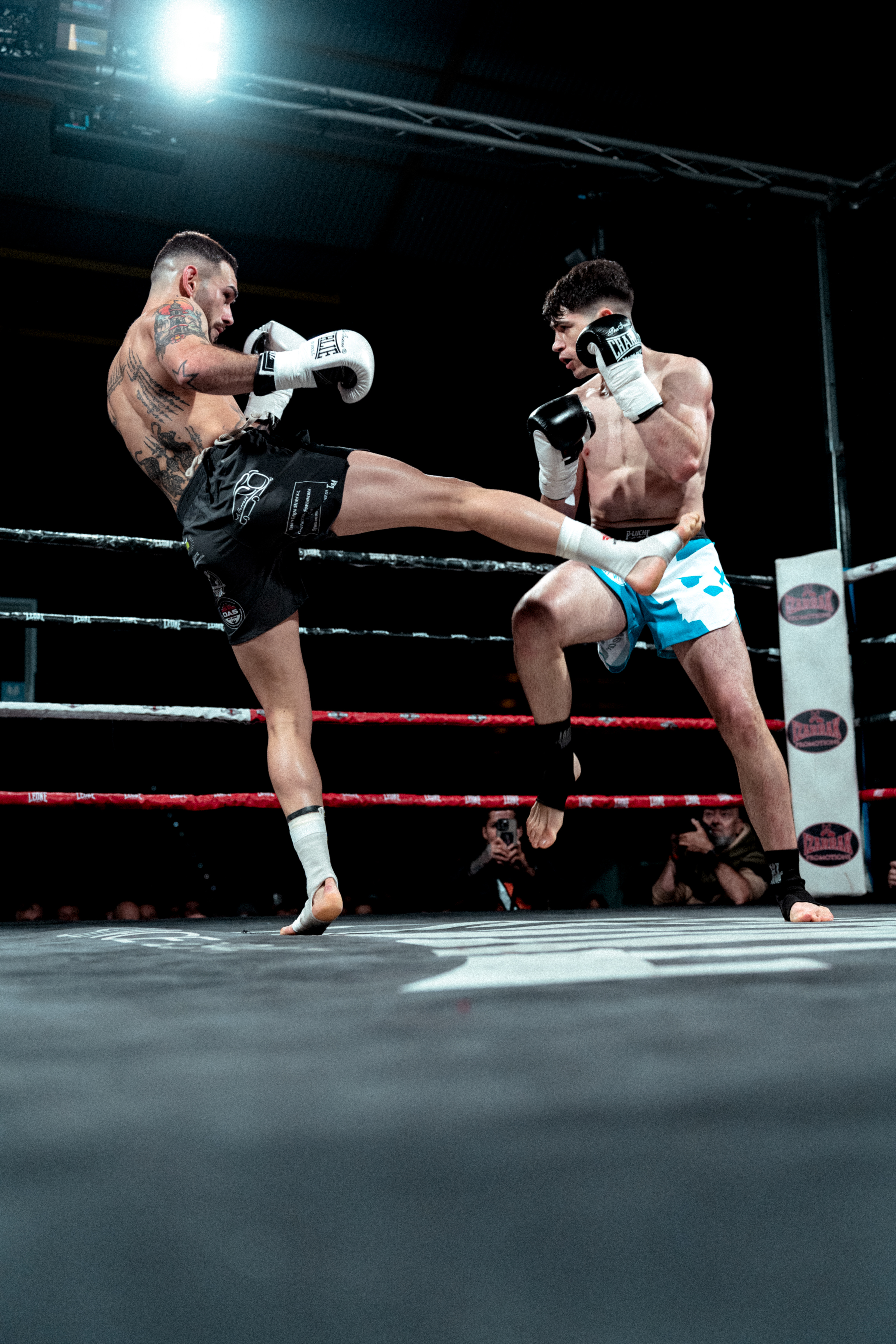Campeonato de España Profesional de KickBoxing FEKM - Noviembre 2024