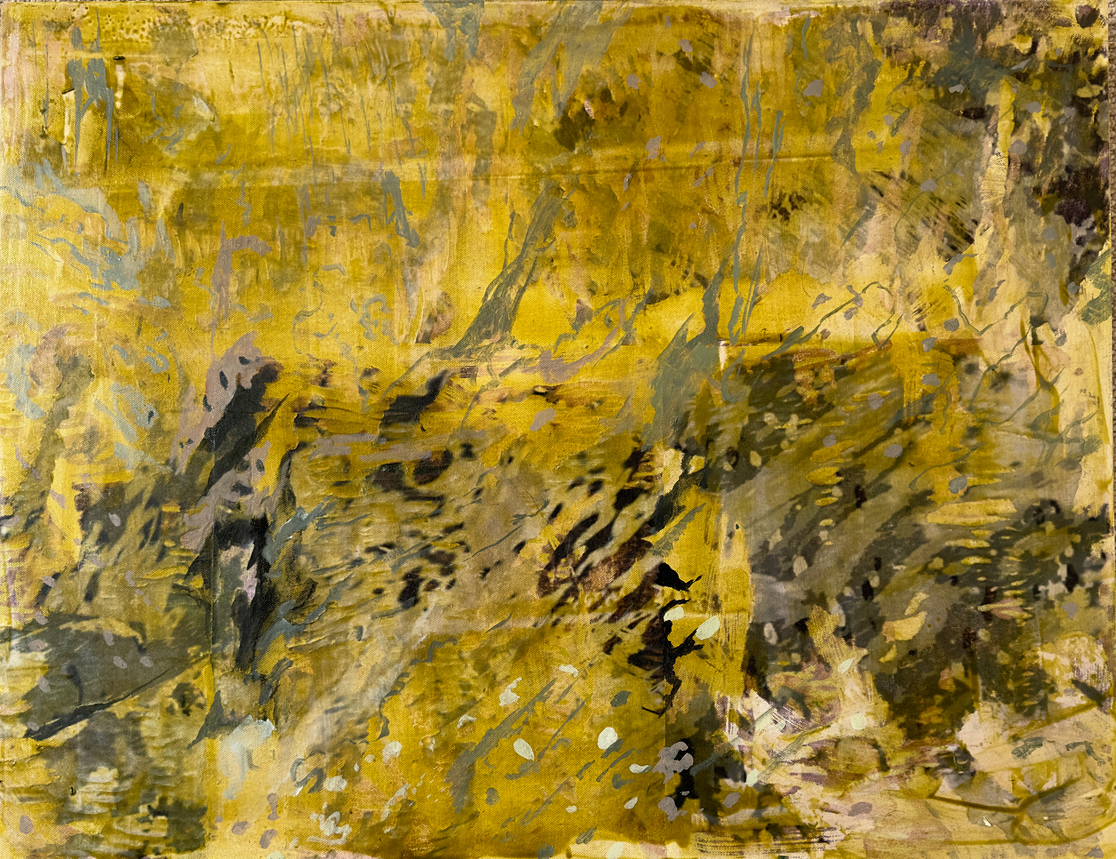 Image transfer an Oil on canvas 74x57cm