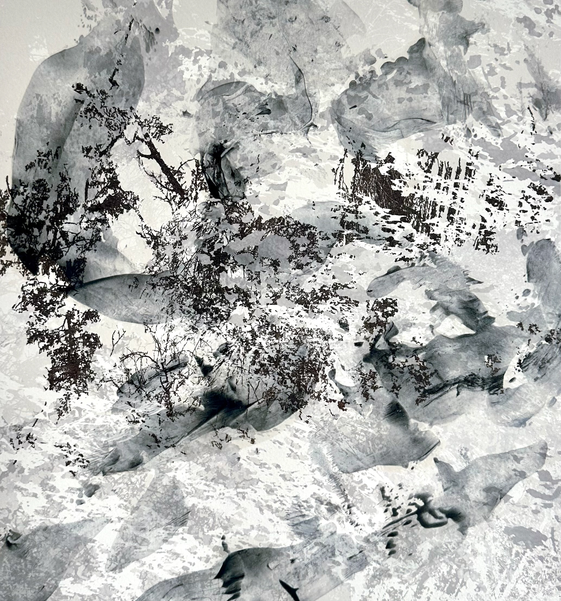 VII - 27x29cm