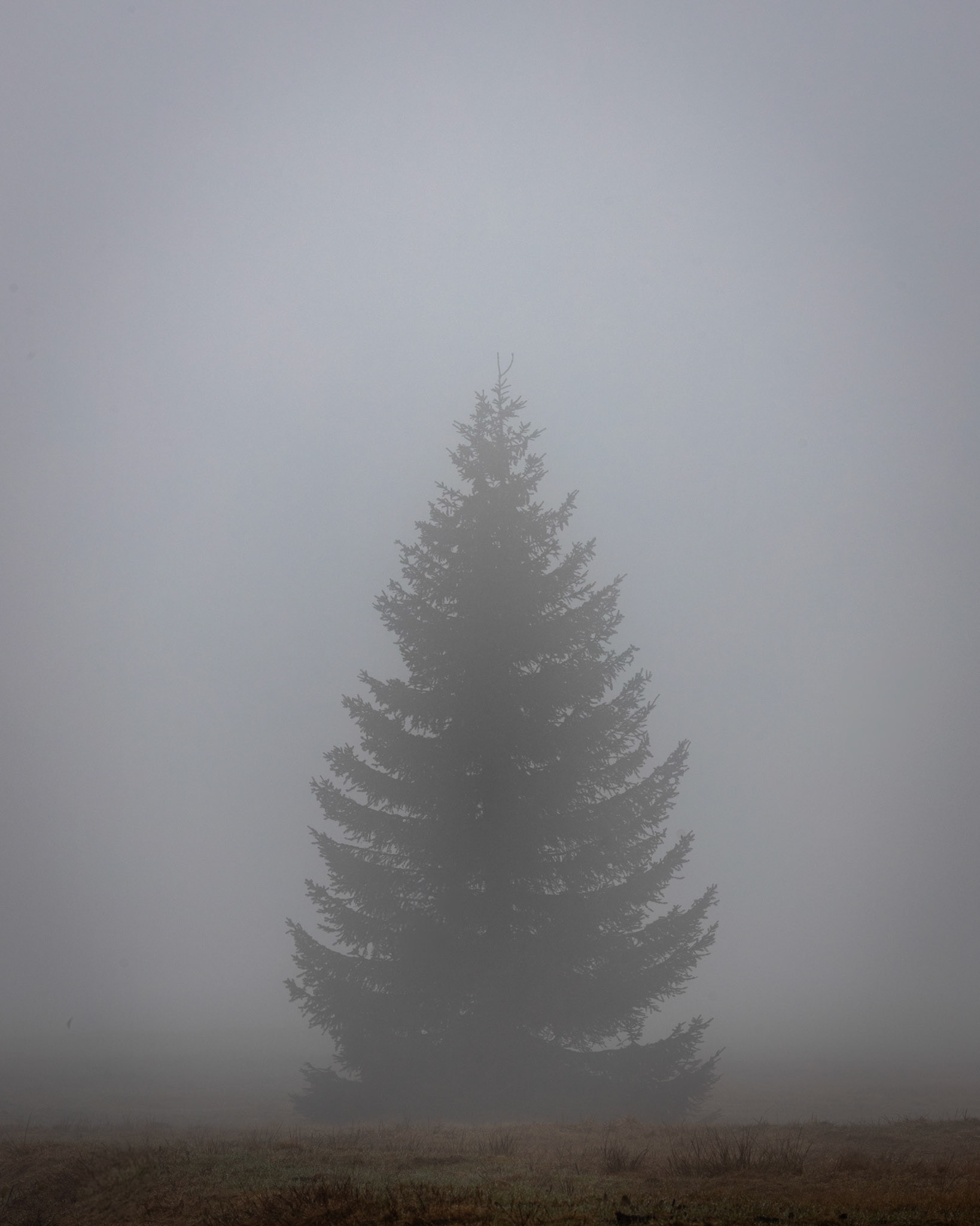 Krkonoše