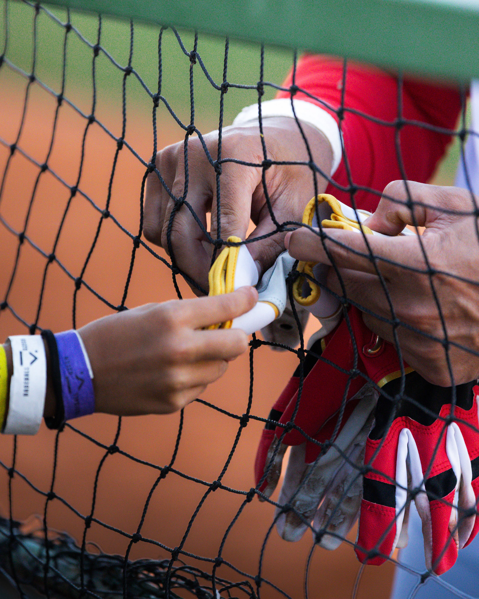 Prague Baseball week 2026