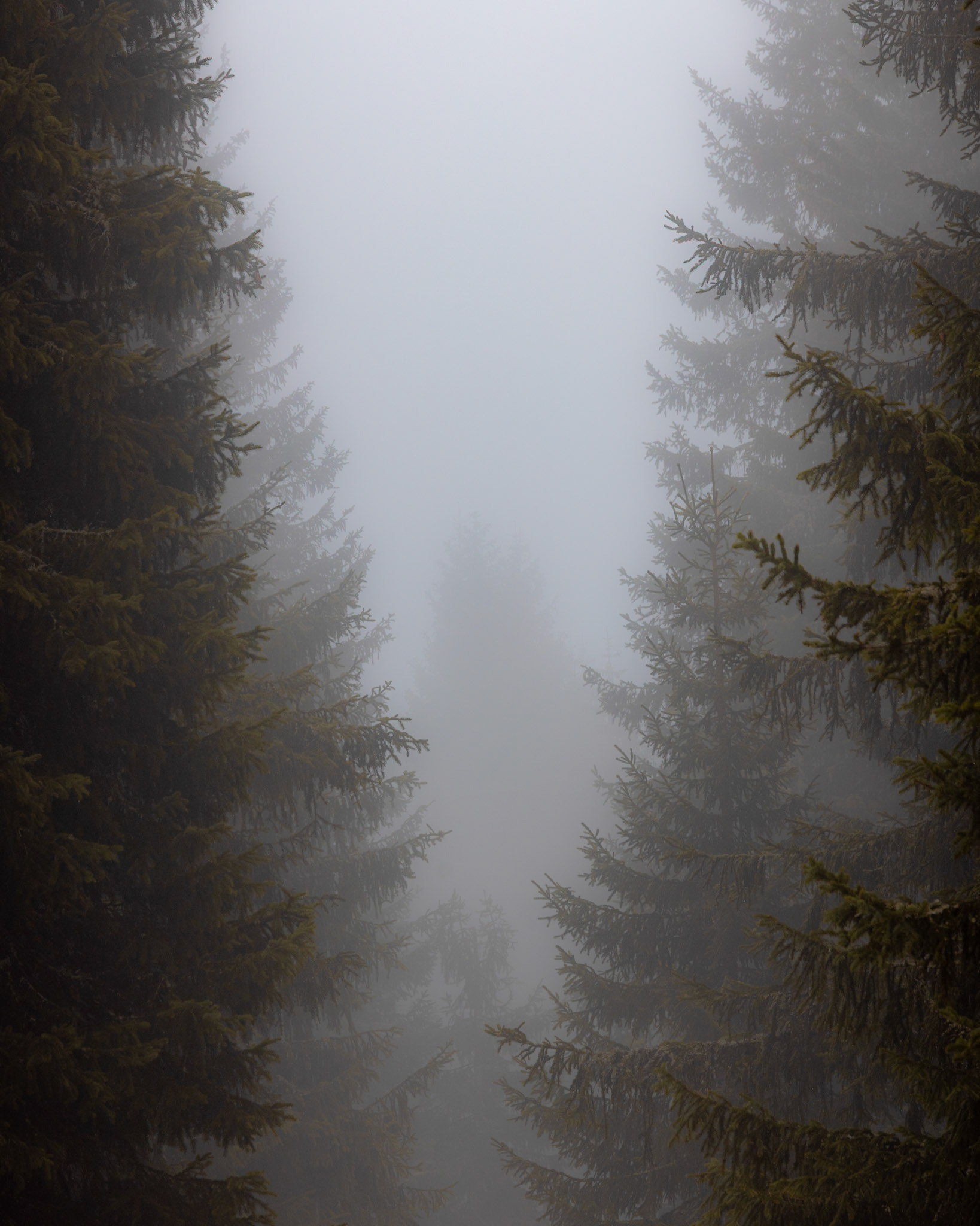 Krkonoše
