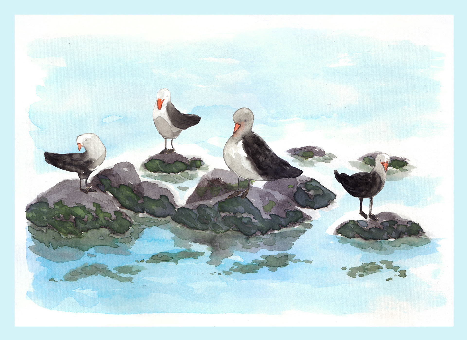 Acuarelas liquídas. Ilustración para el libro Juan Salvador Gaviota
