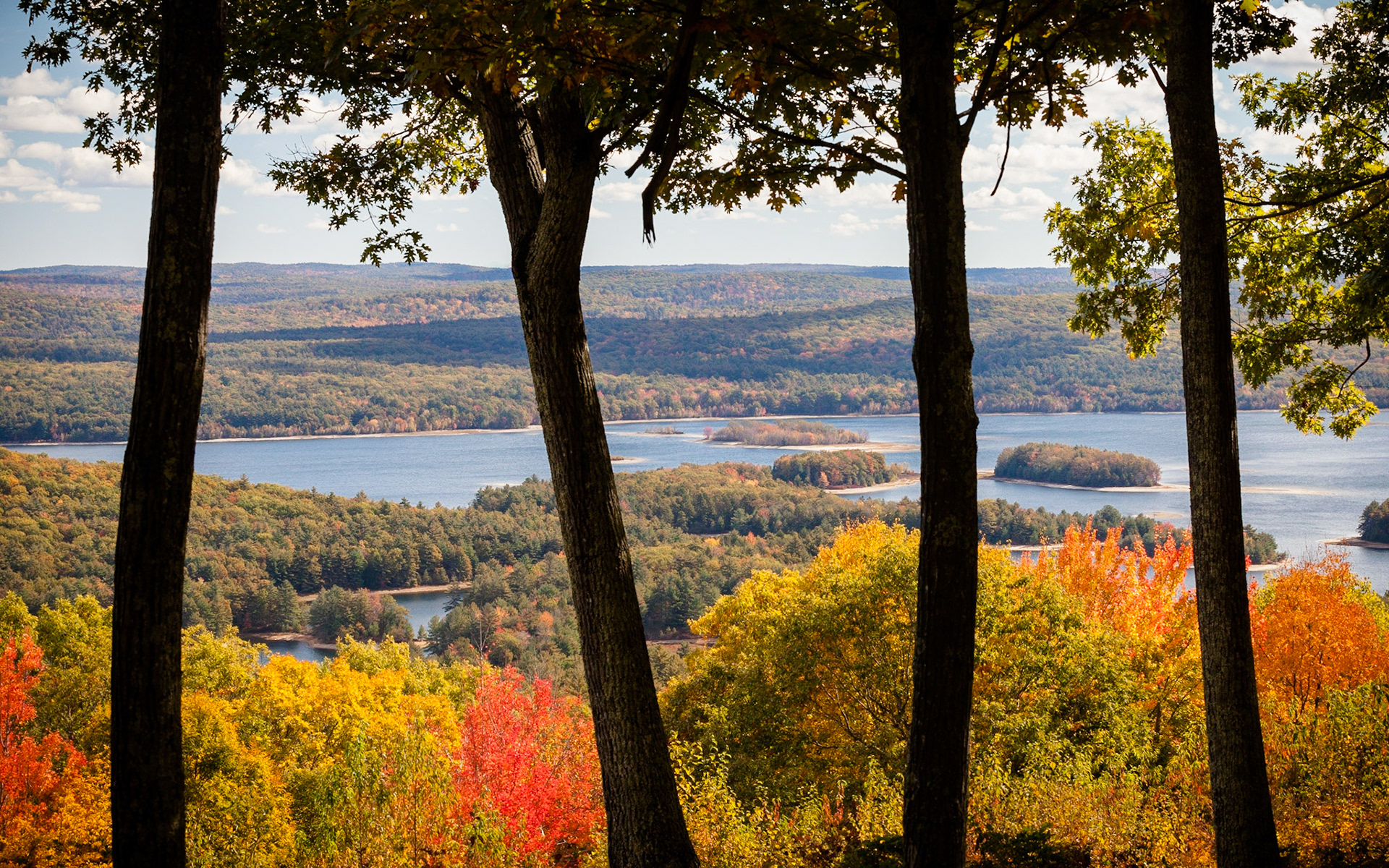 Quabbin Reservoir from New Salem Overlook
