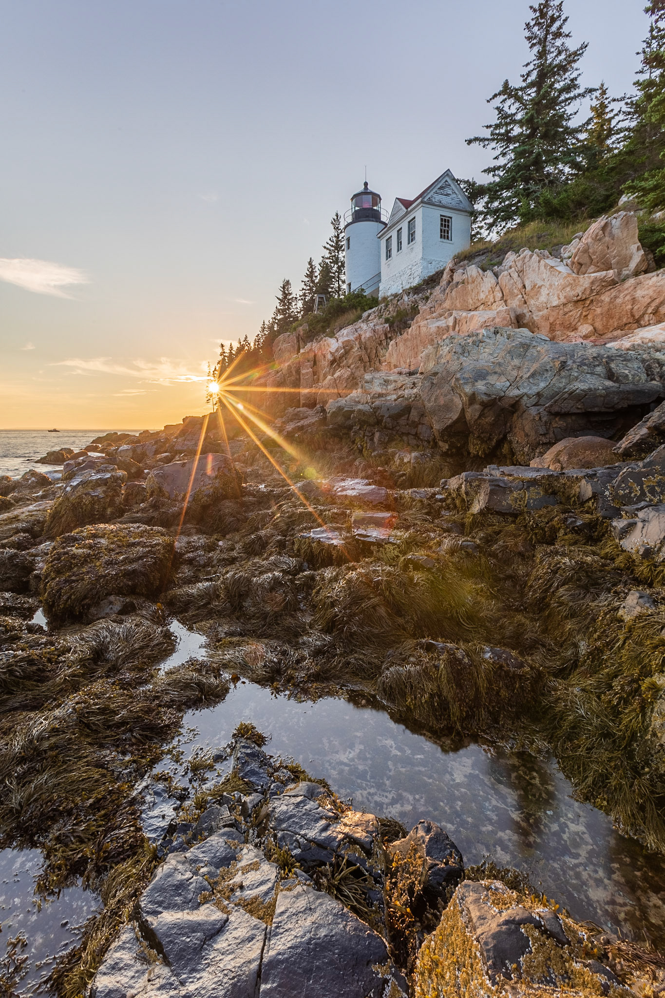 Bass Harbor Head Lighthouse I