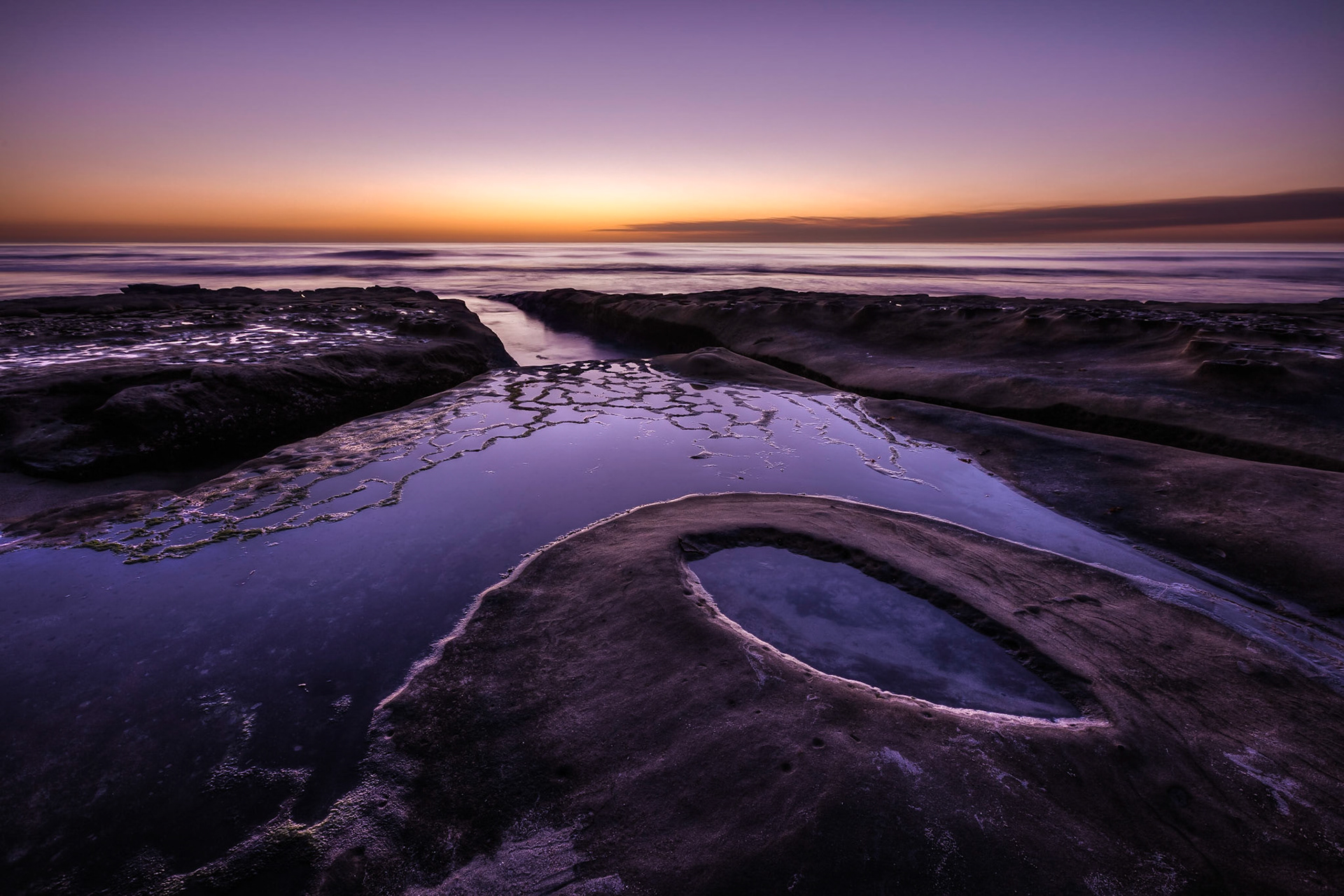 La Jolla Hospitals Reef II