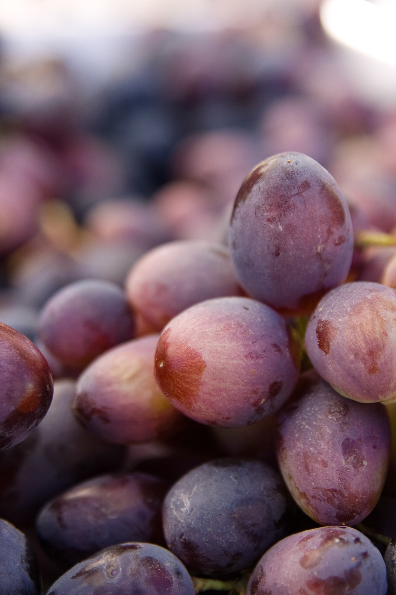 Grapes at Farmers Market