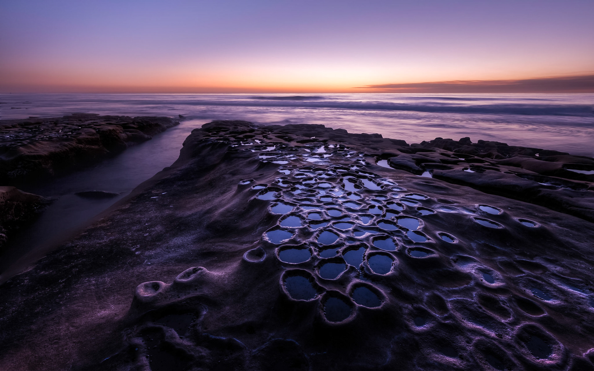 La Jolla Hospitals Reef III