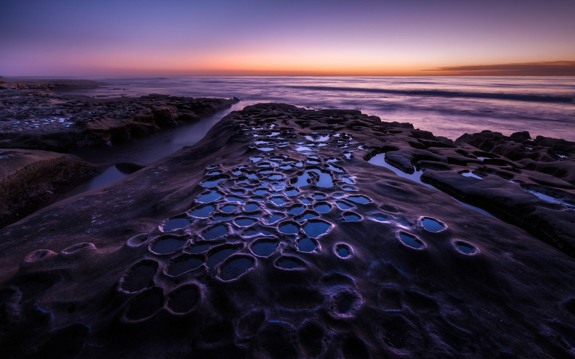 La Jolla Hospitals Reef IV