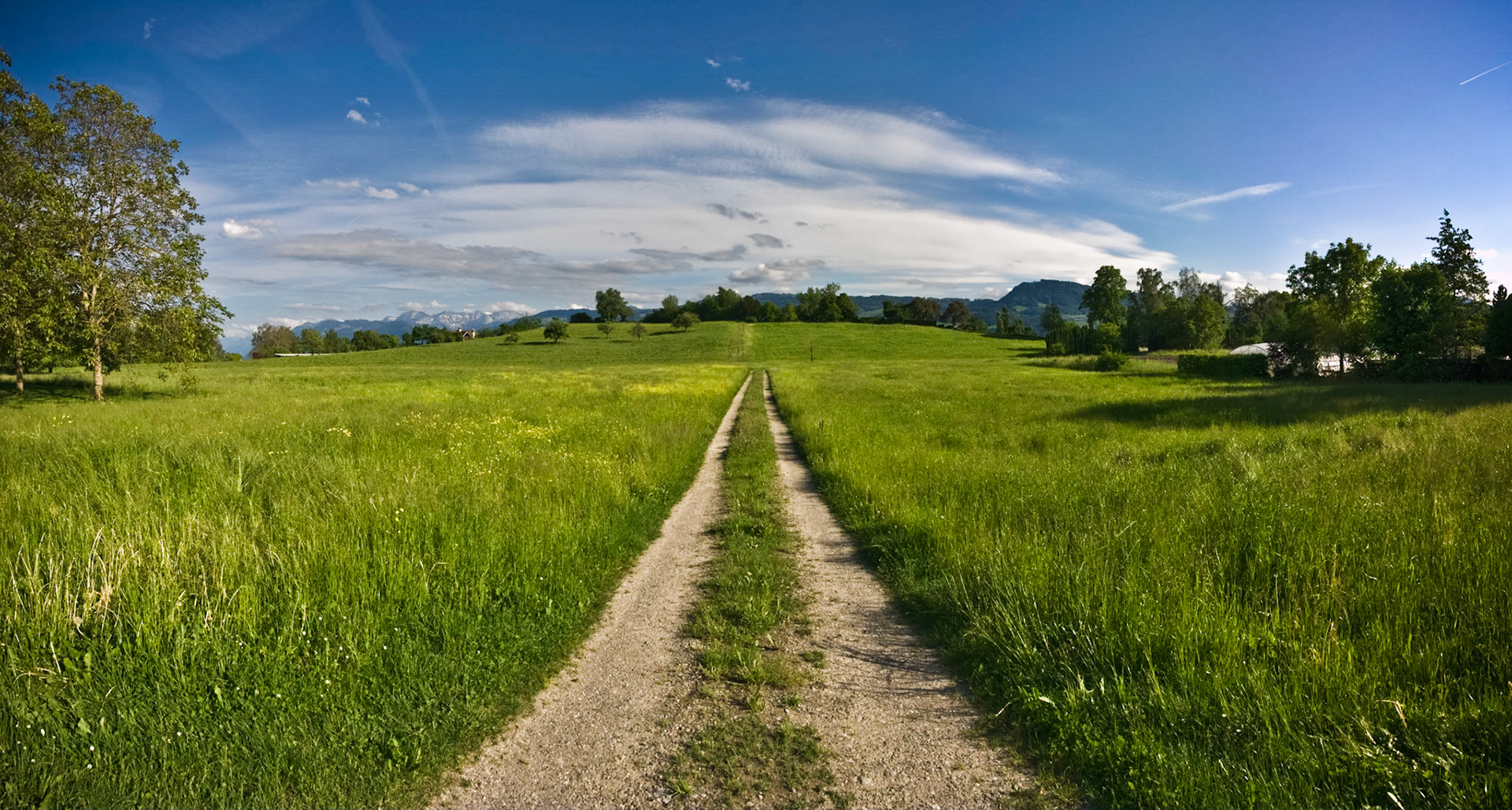 Blue, Green, and White