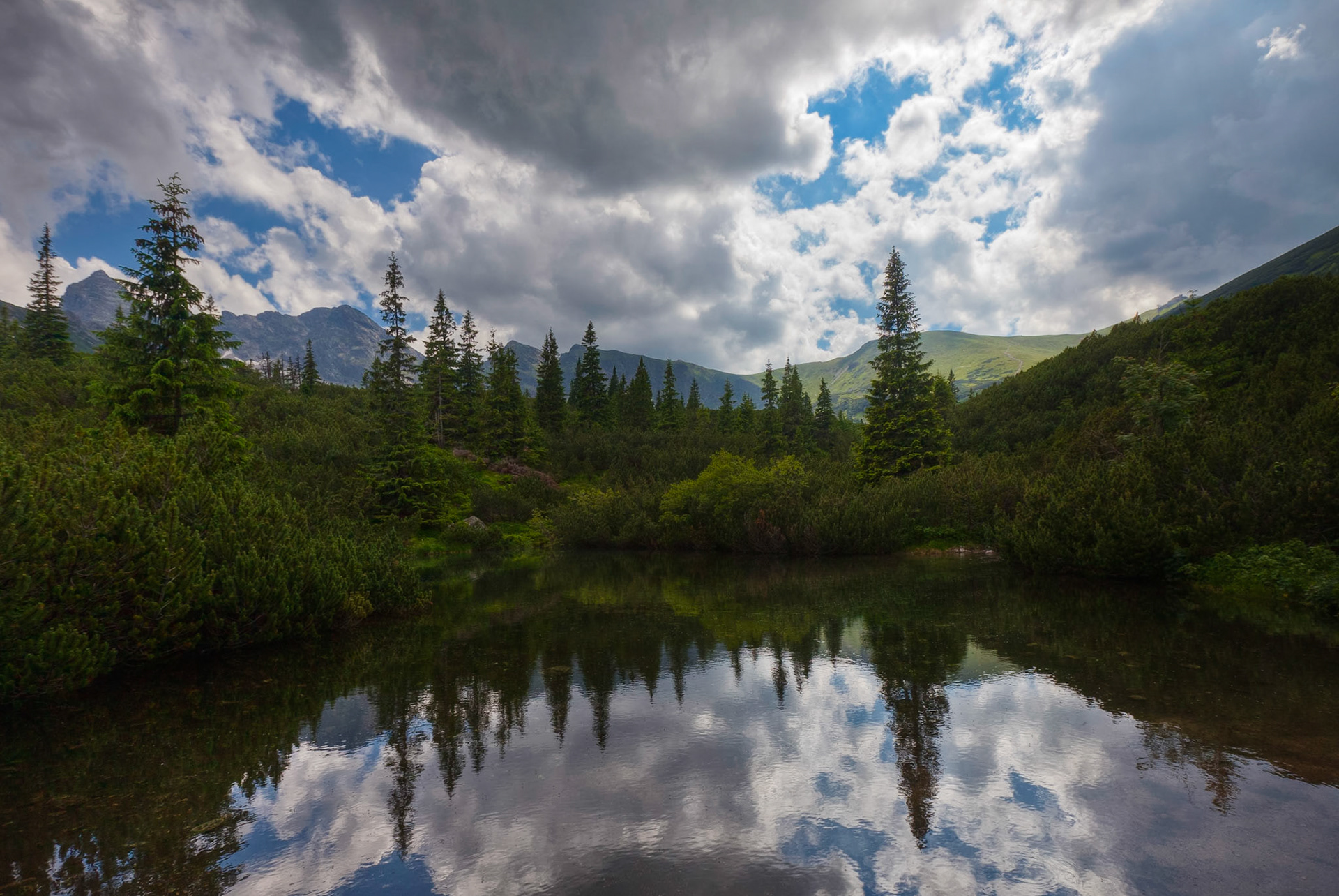 Tatra Reflections