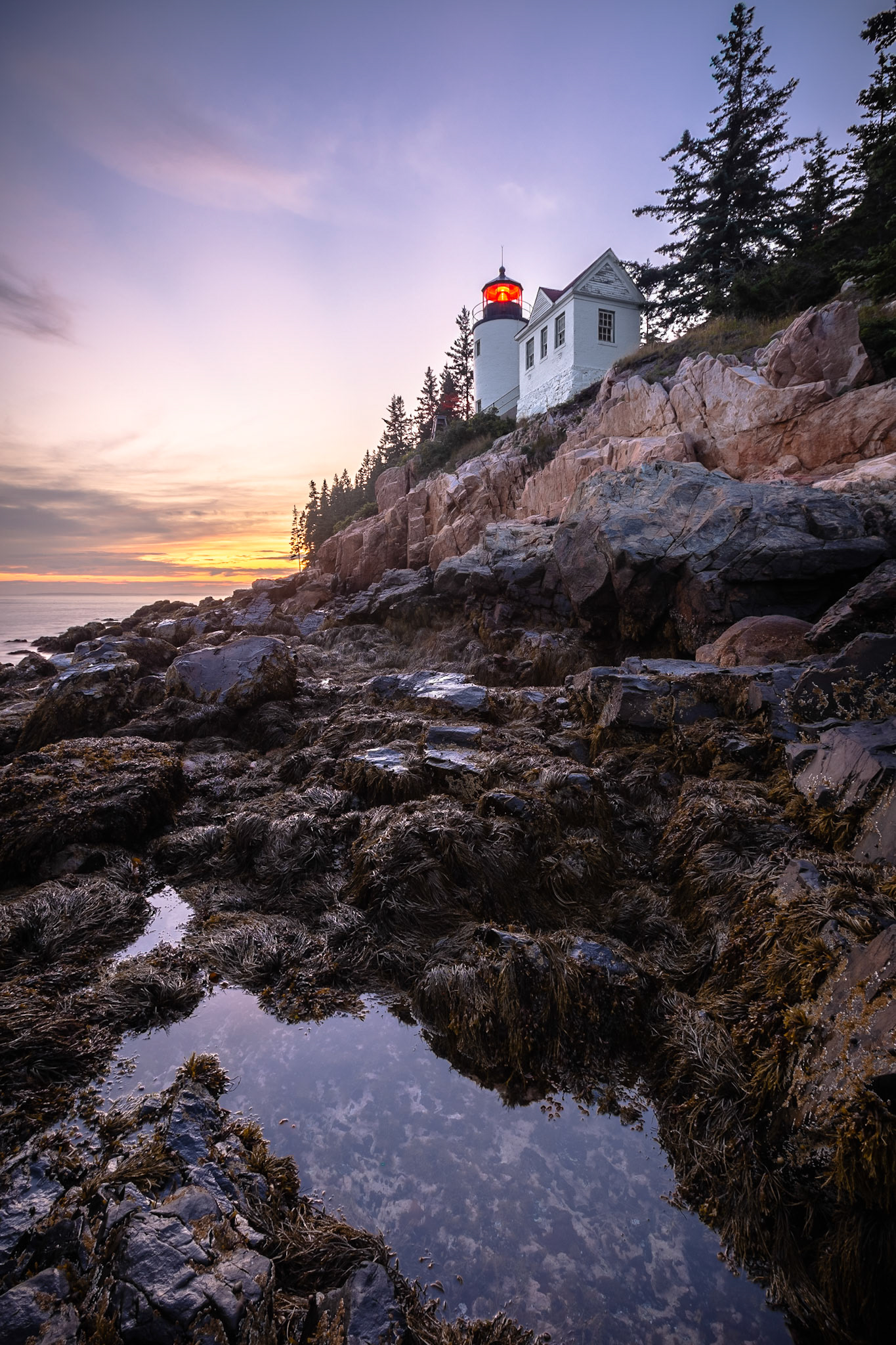 Bass Harbor Head Lighthouse IV
