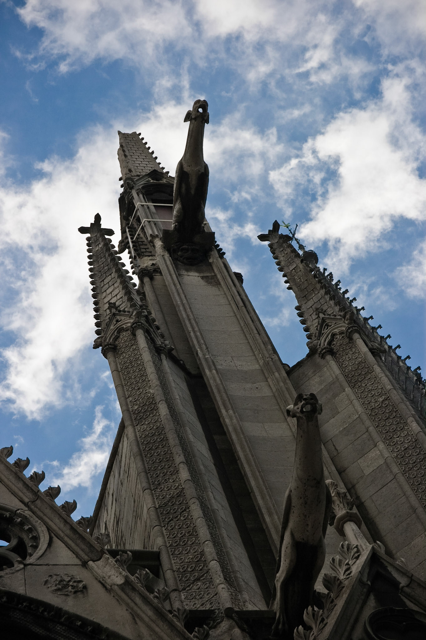 Notre Dame Gargoyles
