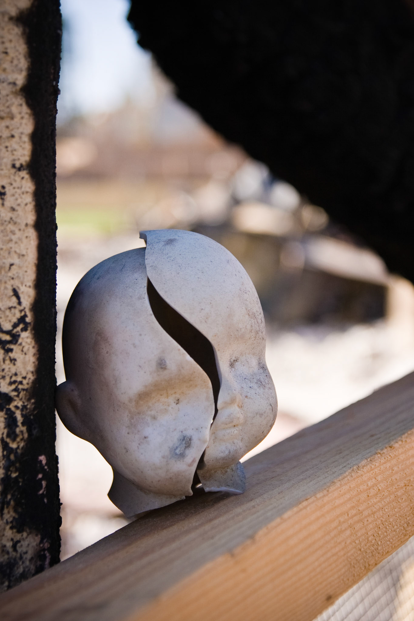 San Diego Fires Aftermath I